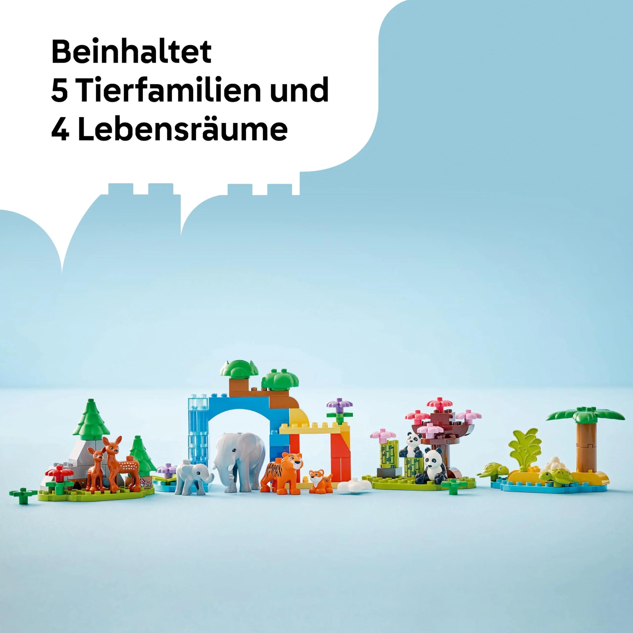Vorschaubild 9