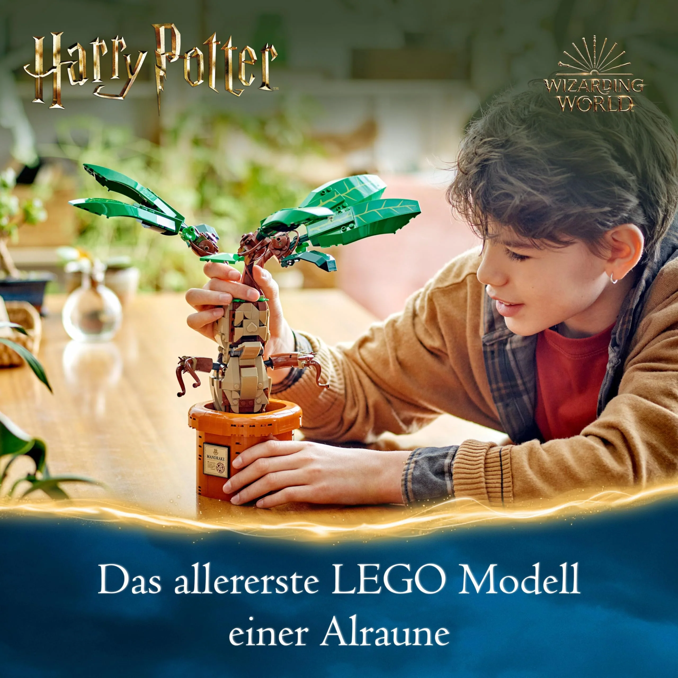 Vorschaubild 12
