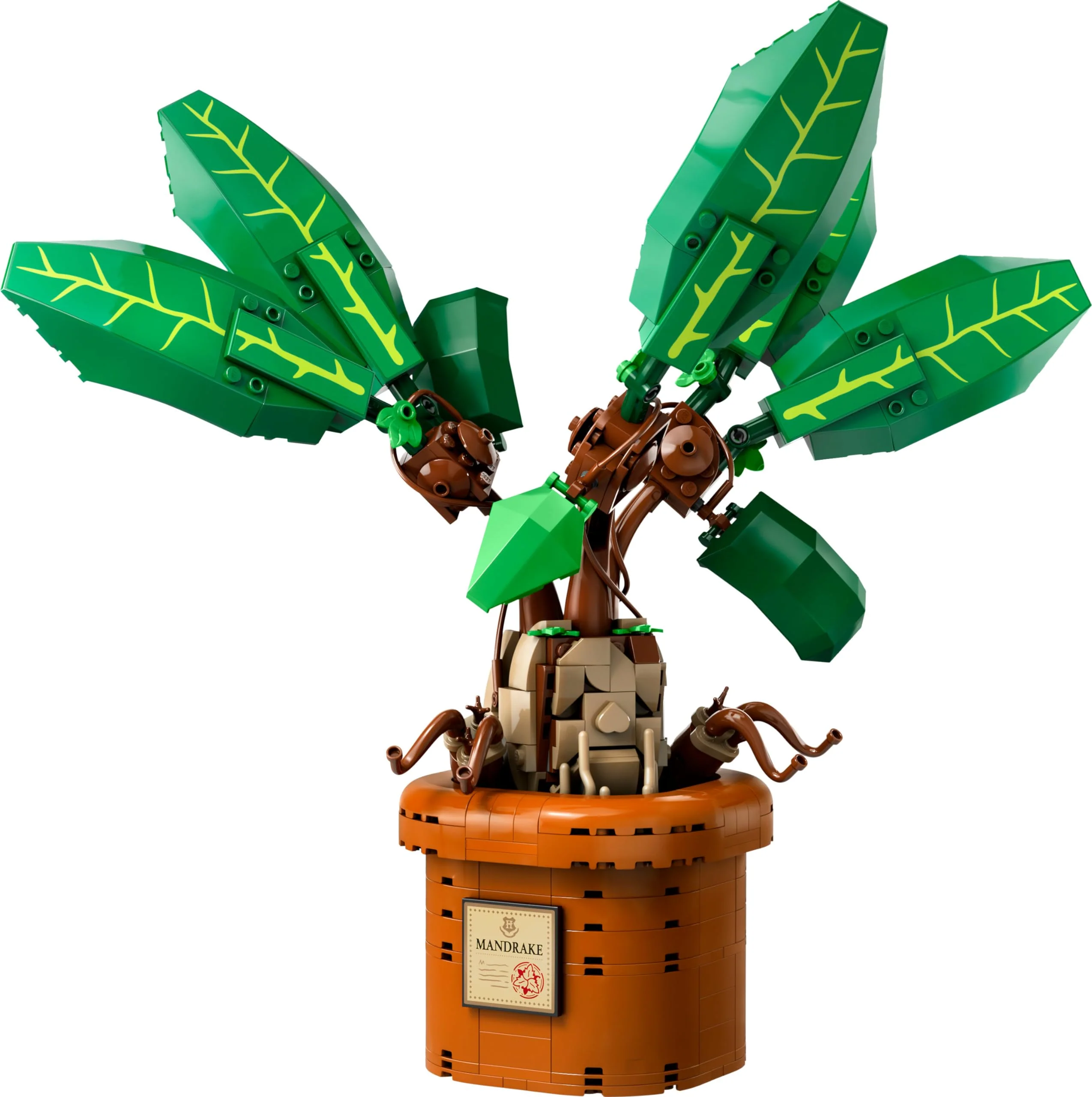Vorschaubild 4