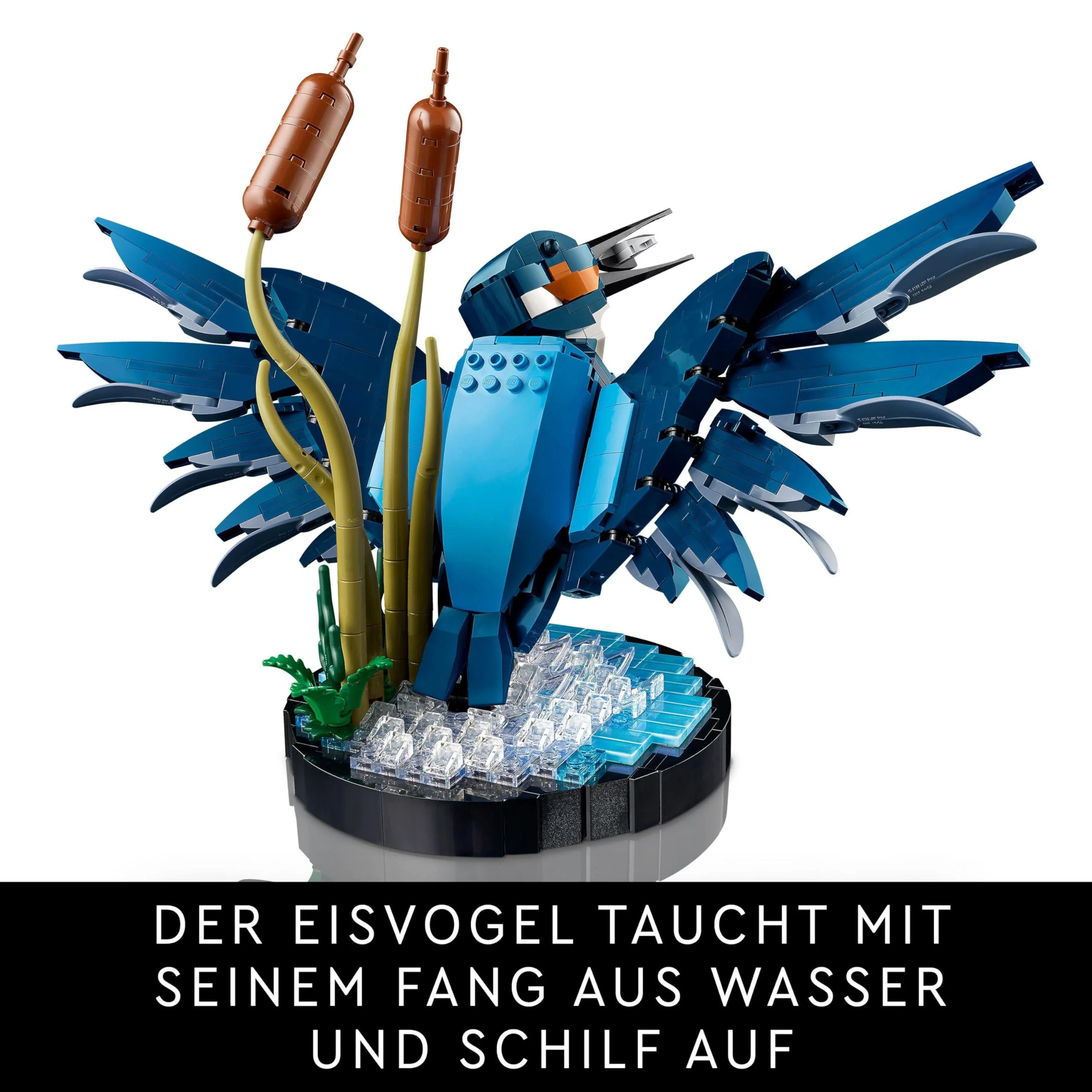 Vorschaubild 5