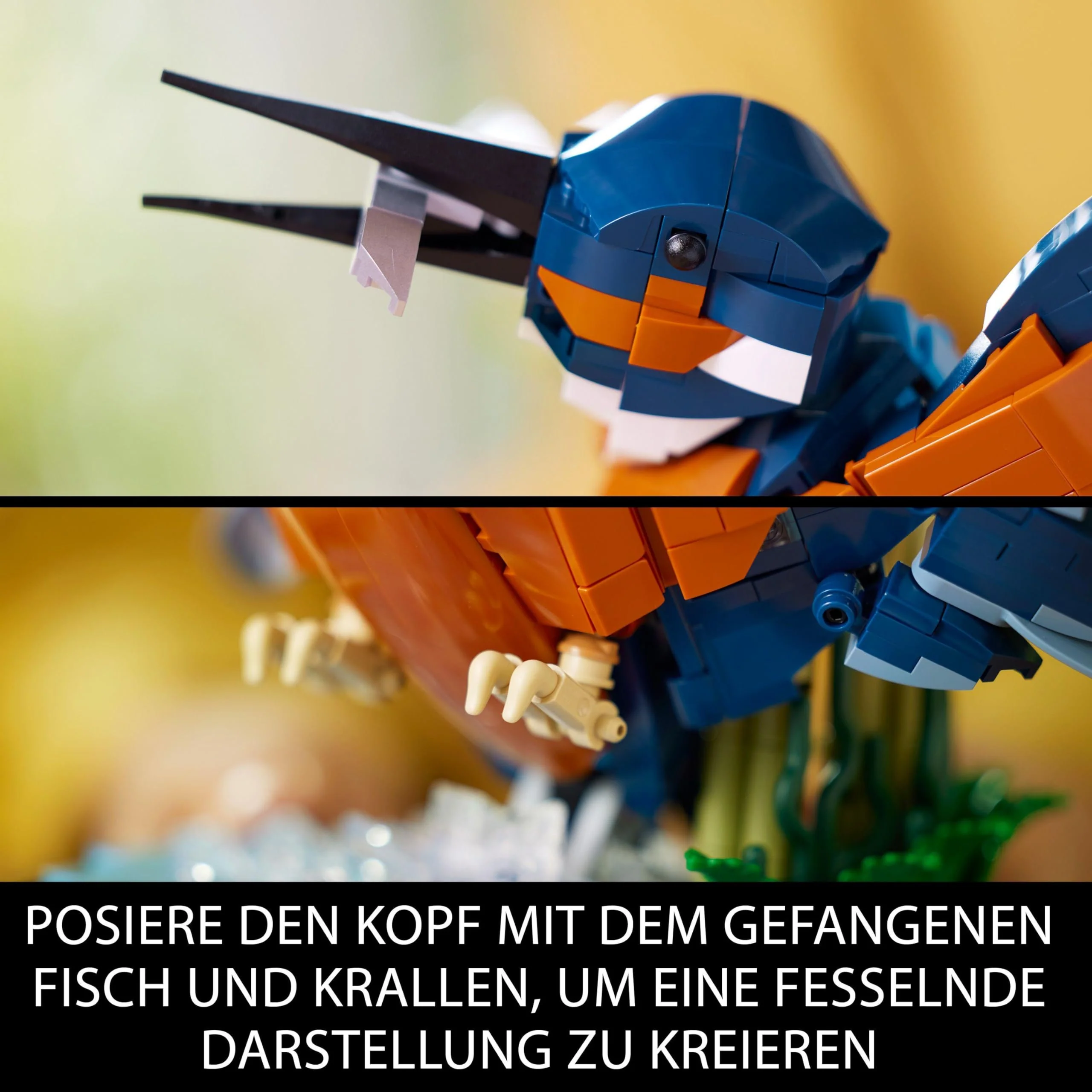 Vorschaubild 6