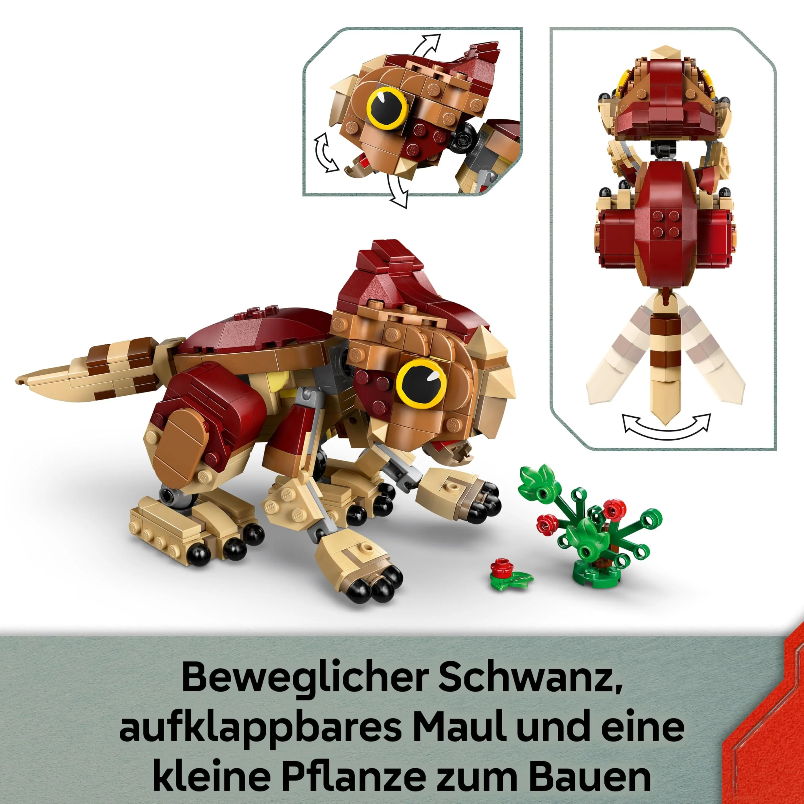 Vorschaubild 5