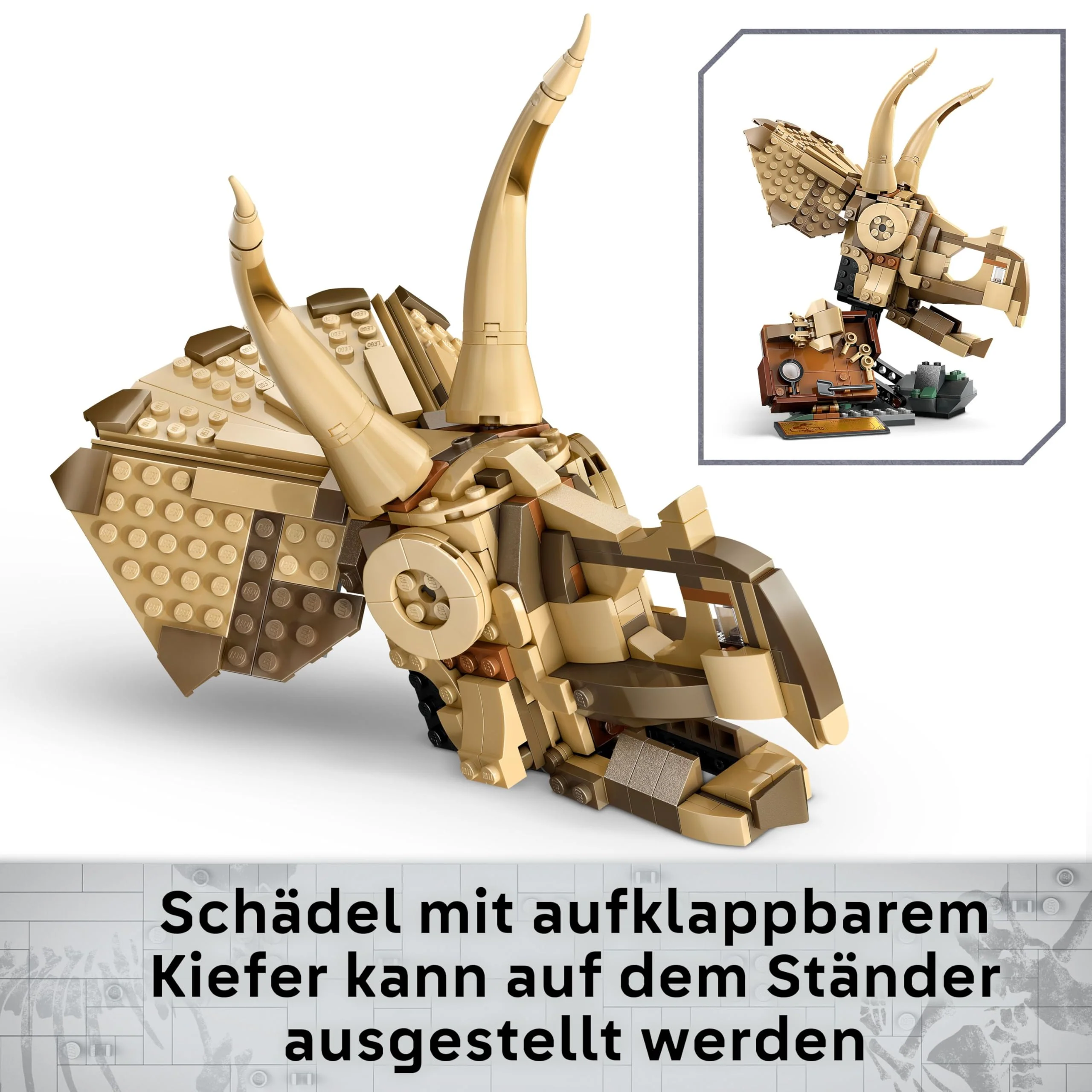 Vorschaubild 10