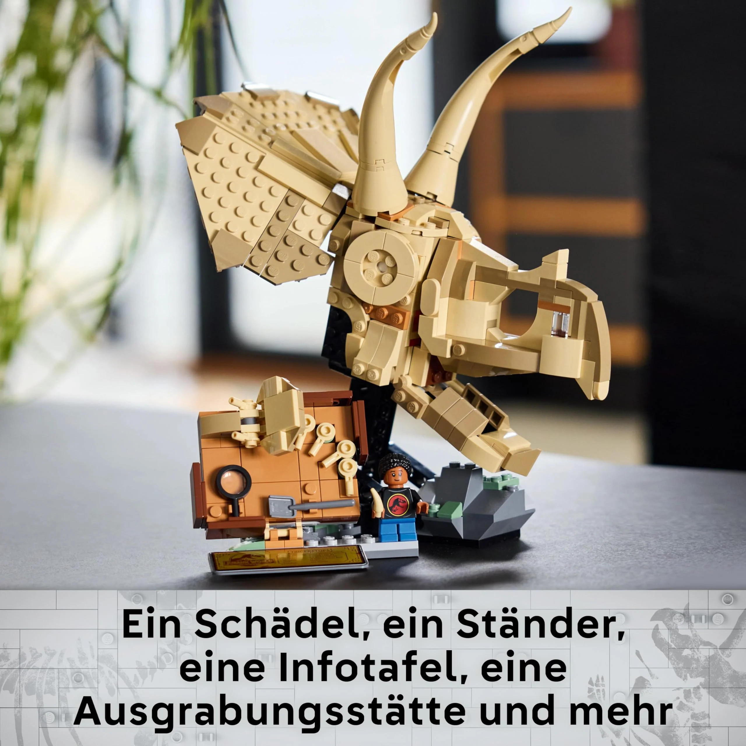 Vorschaubild 11