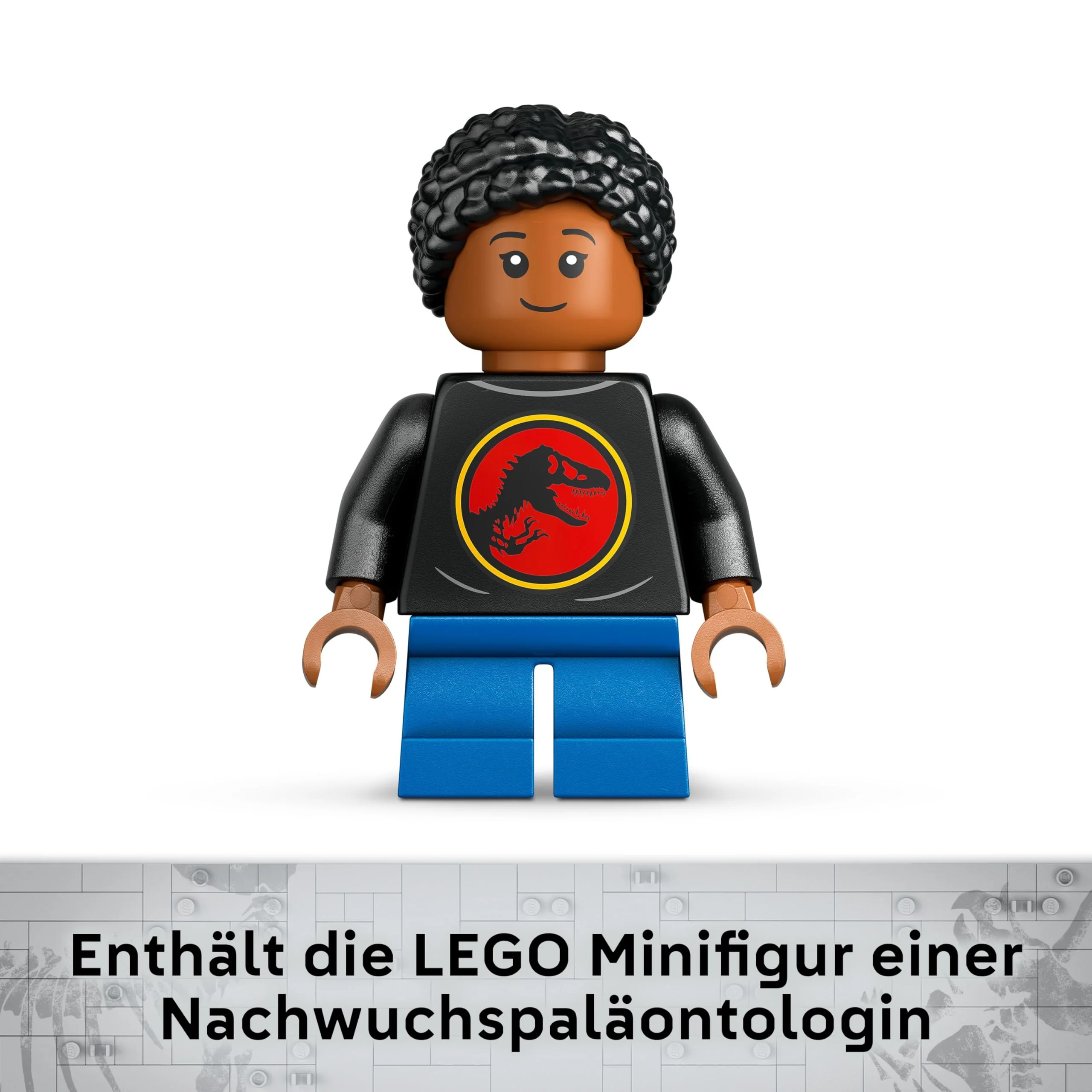 Vorschaubild 8