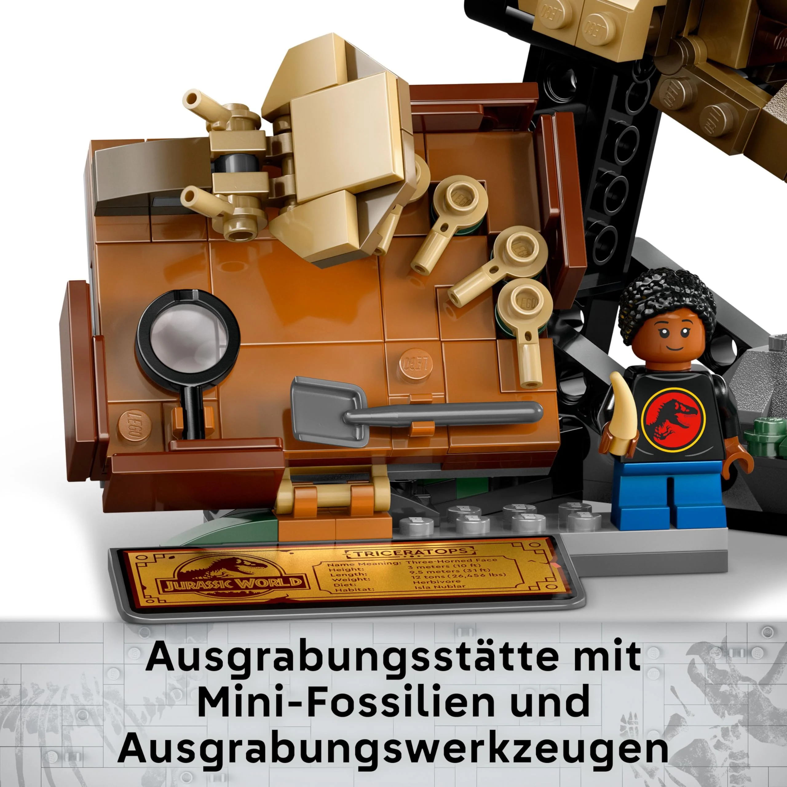 Vorschaubild 9