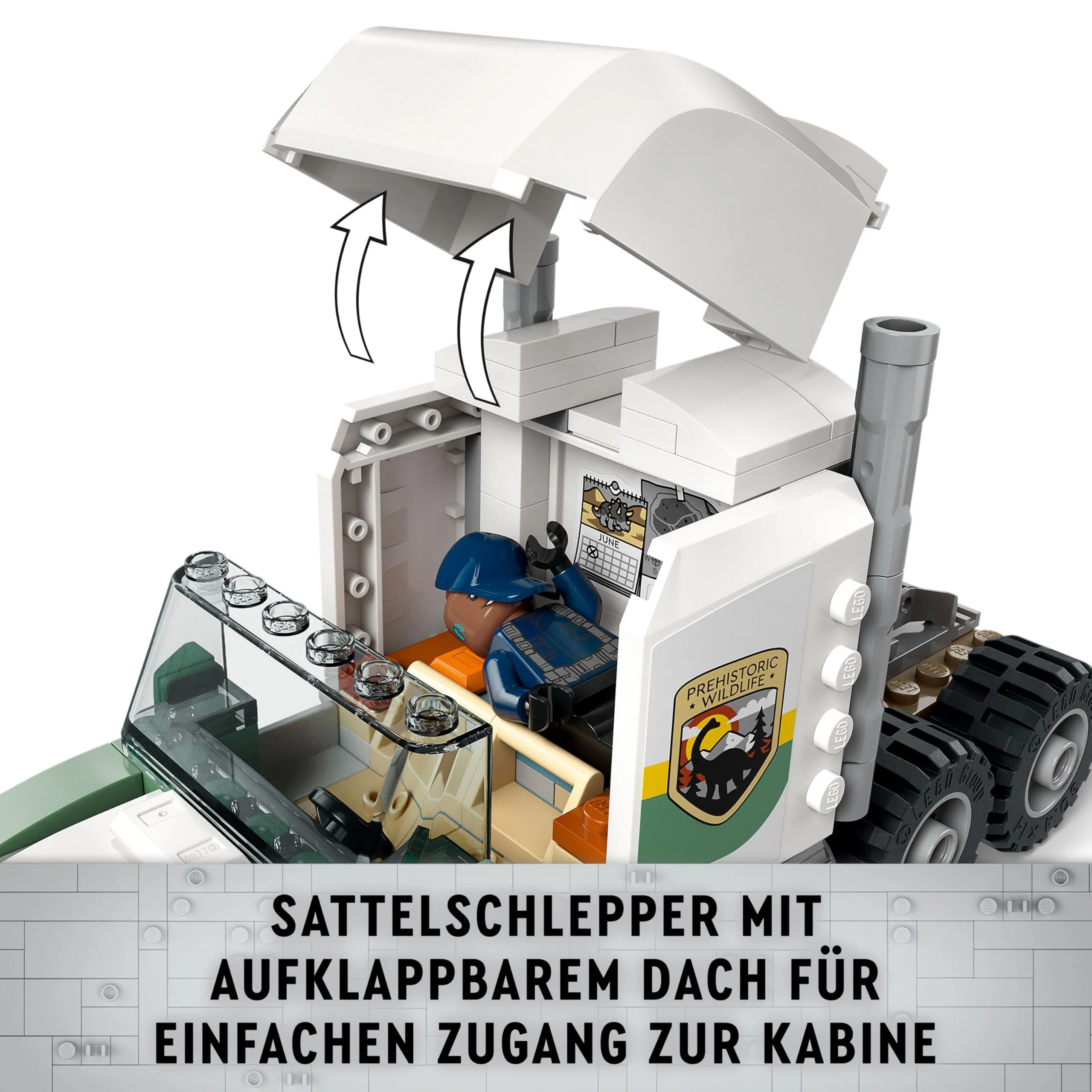 Vorschaubild 10
