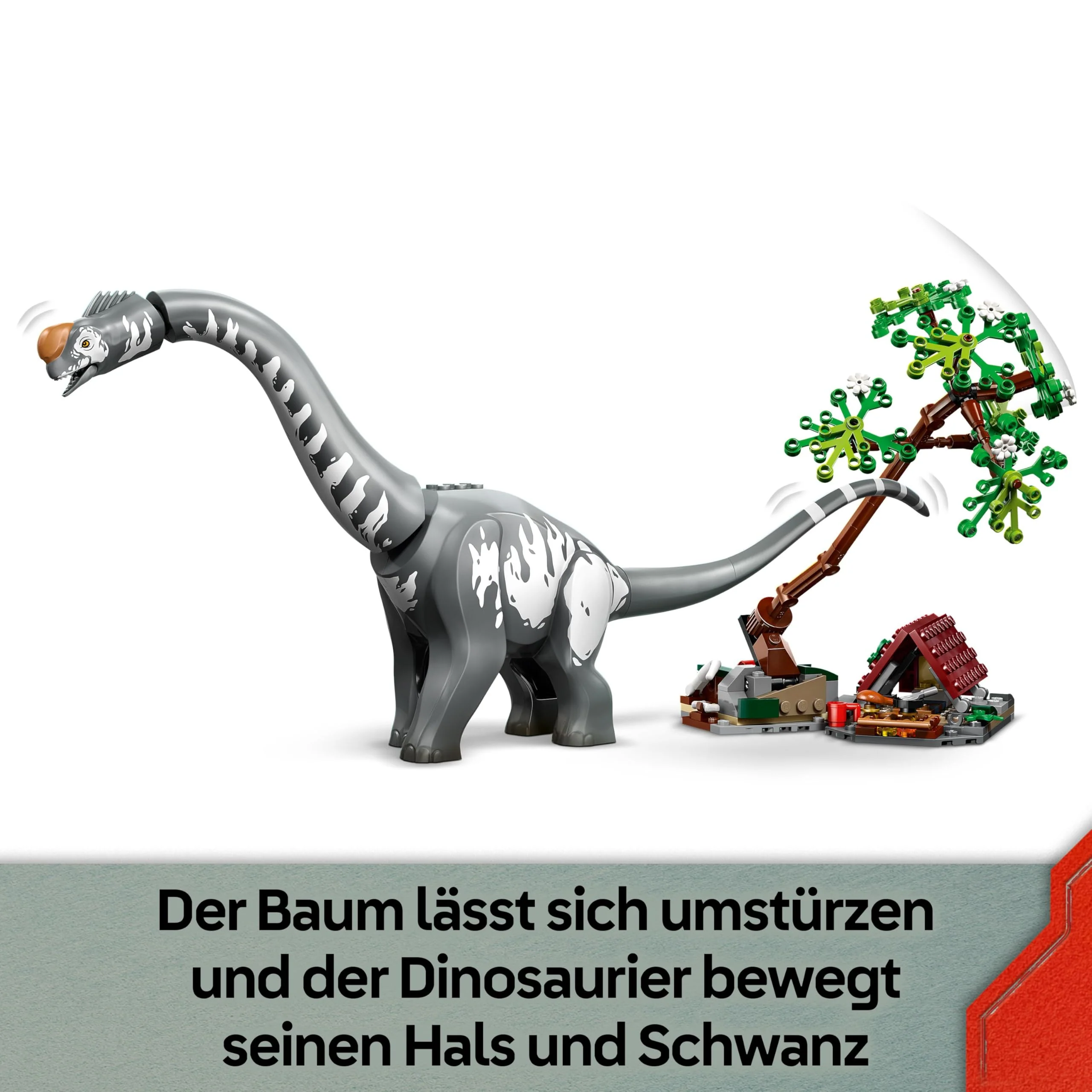 Vorschaubild 6