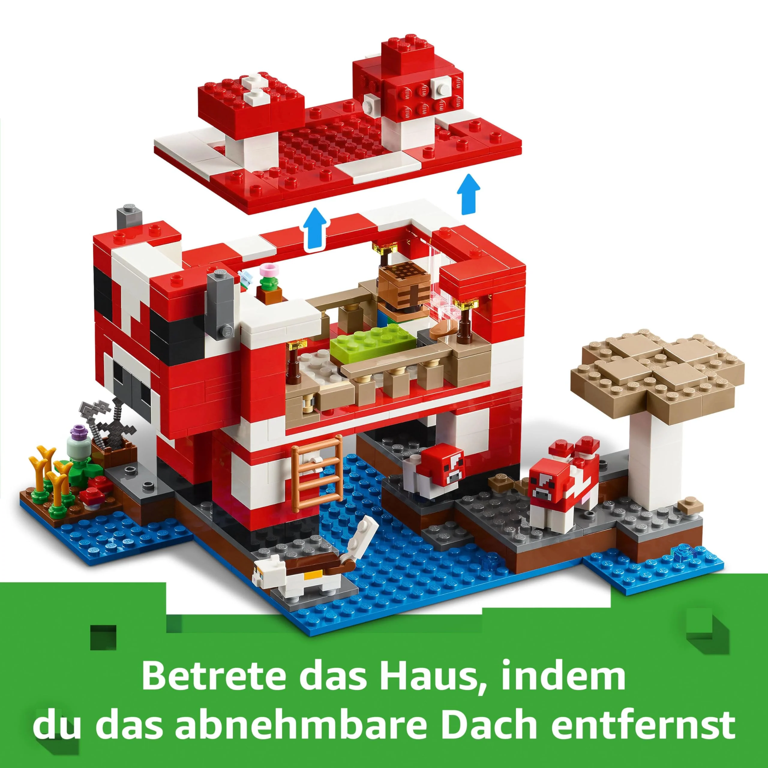 Vorschaubild 11