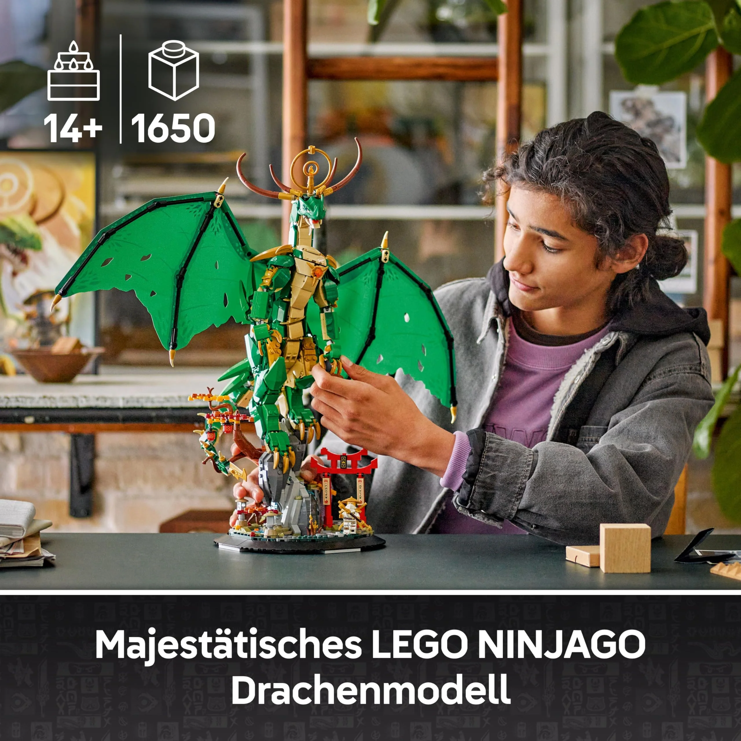 Vorschaubild 12