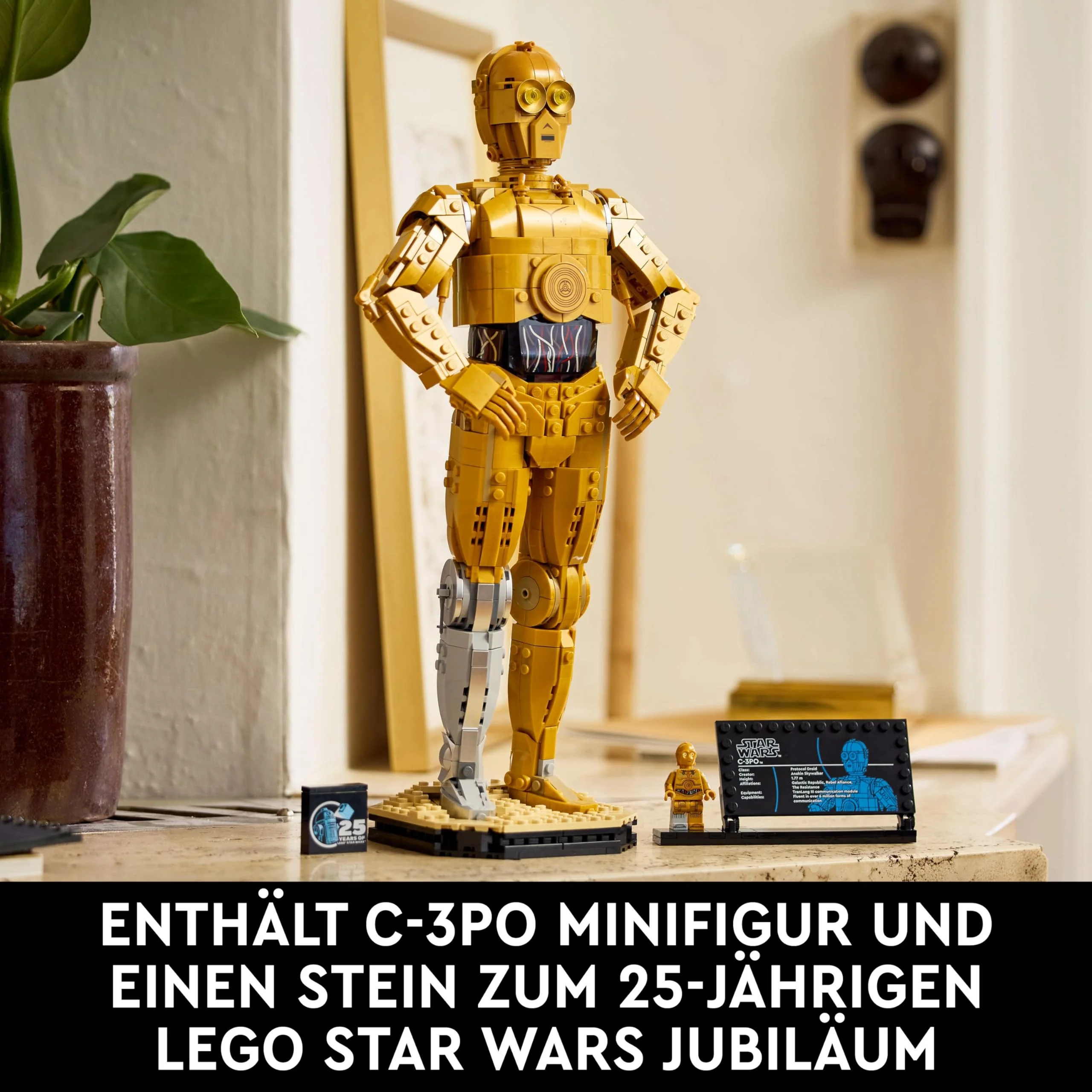 Vorschaubild 8