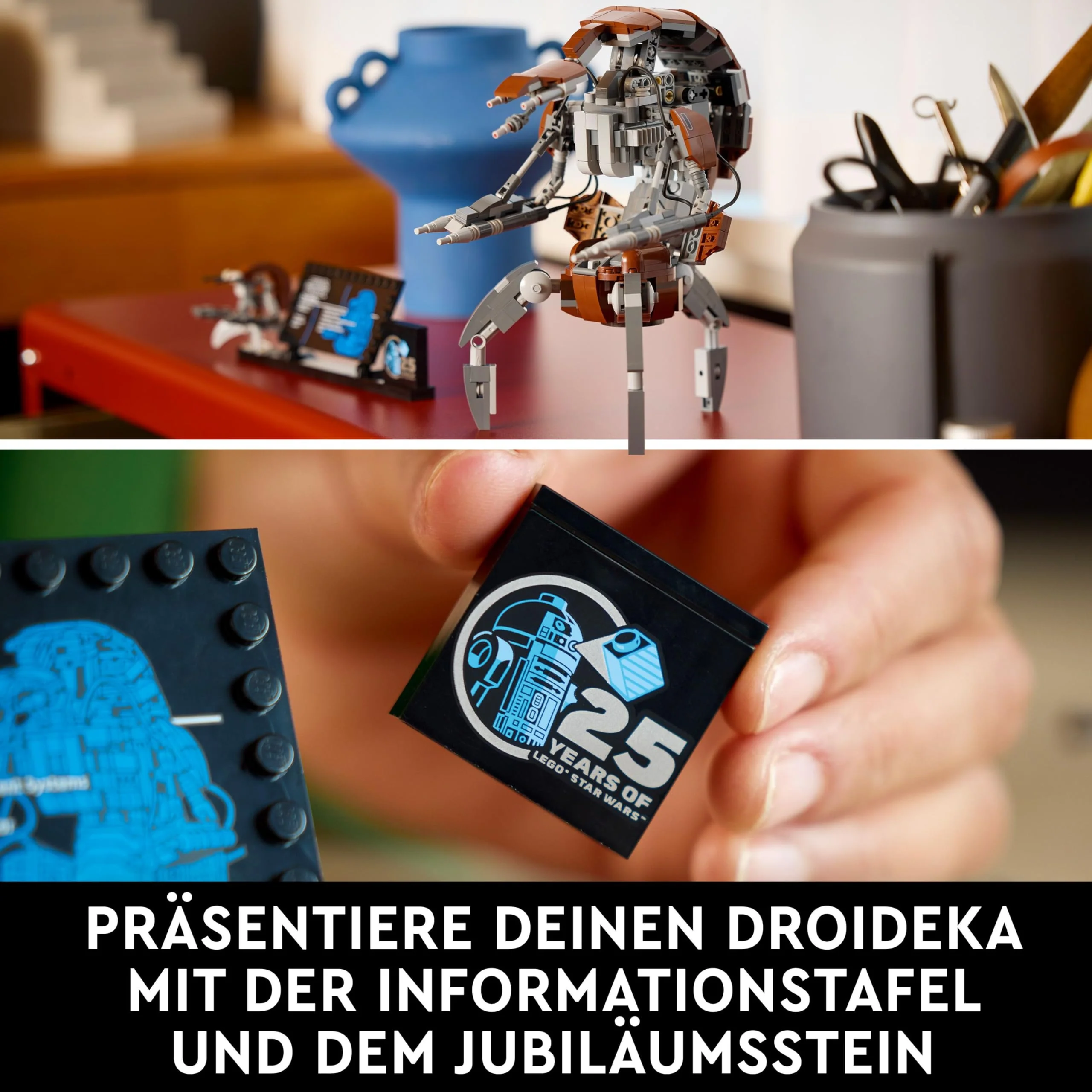 Vorschaubild 7