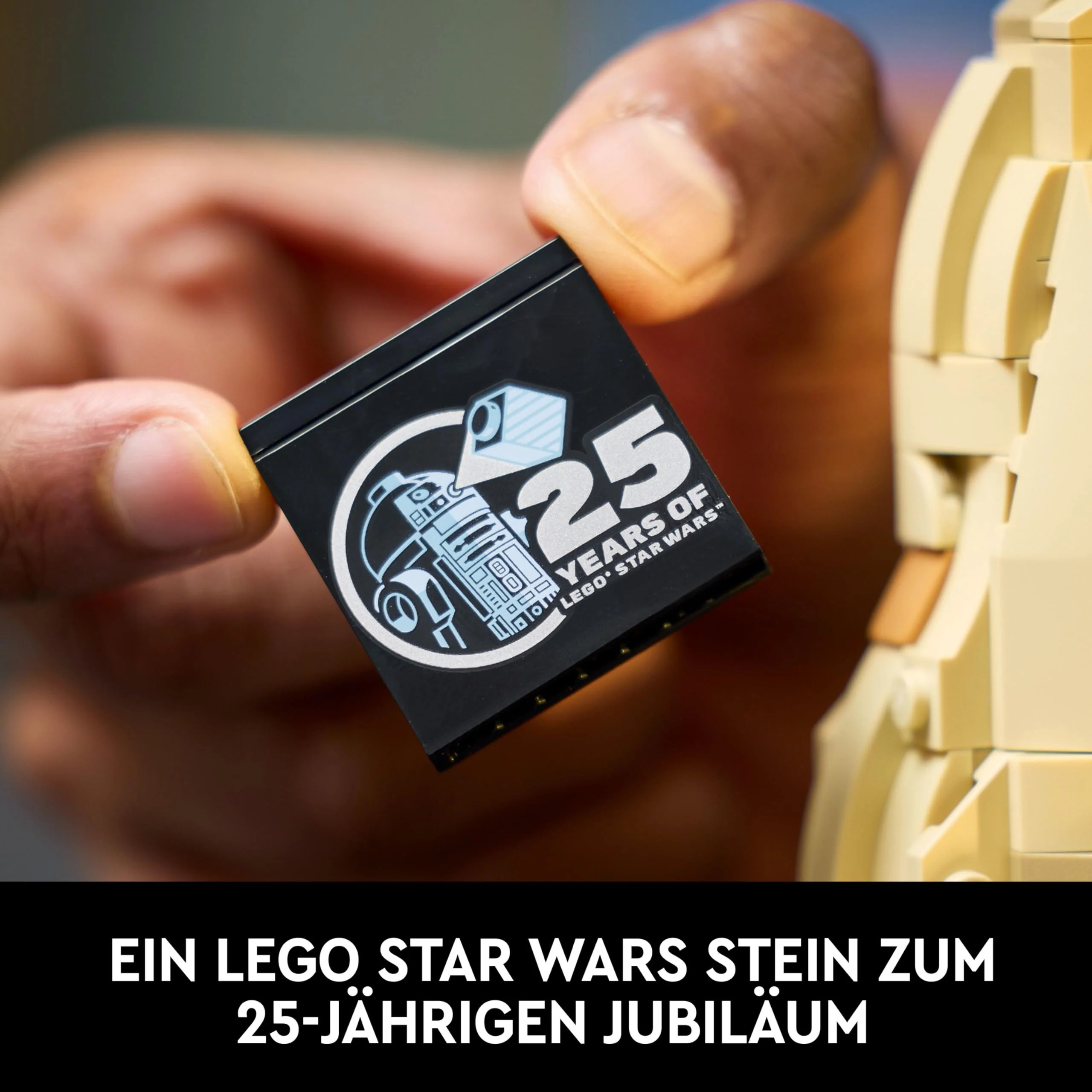 Vorschaubild 7