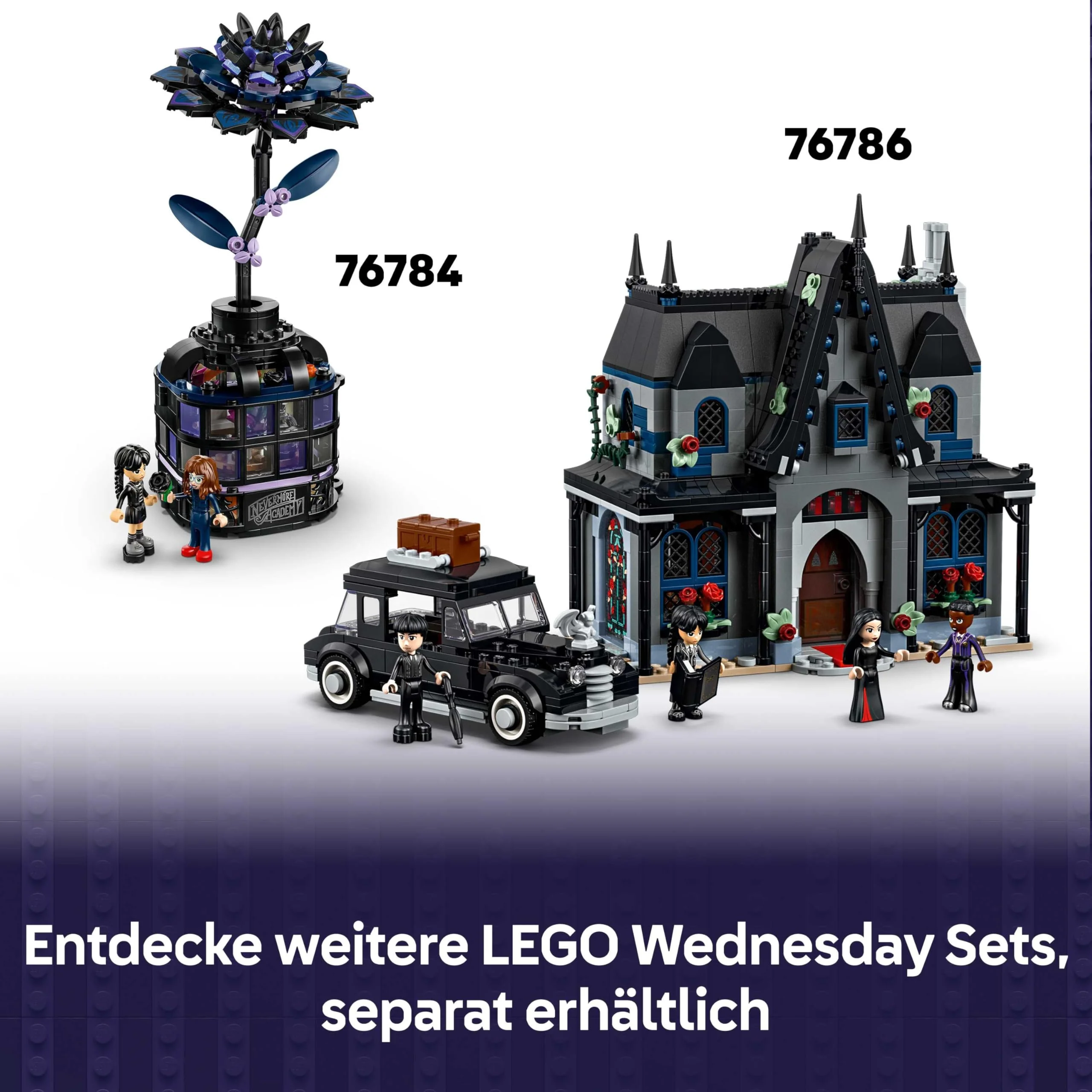 Vorschaubild 5