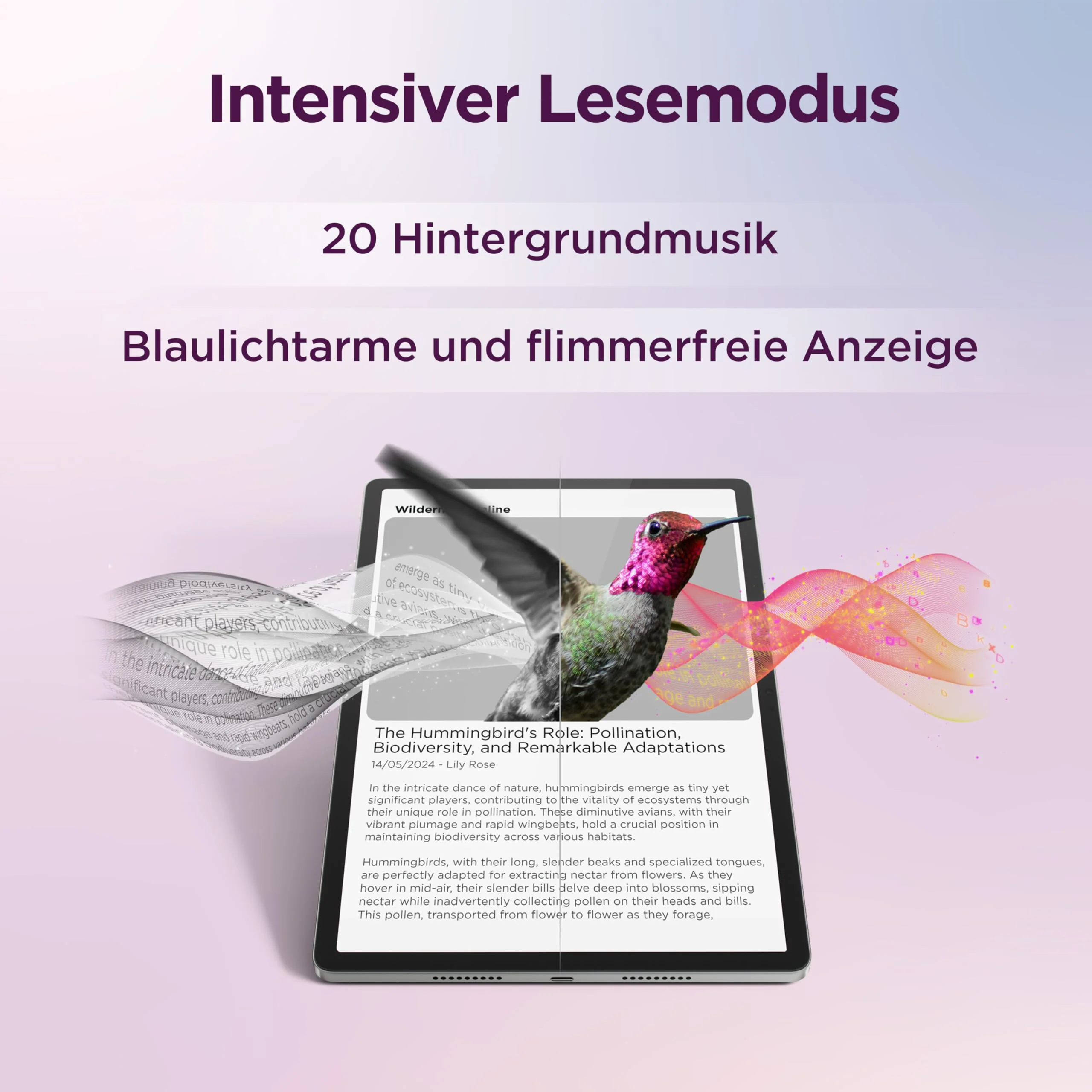 Vorschaubild 11