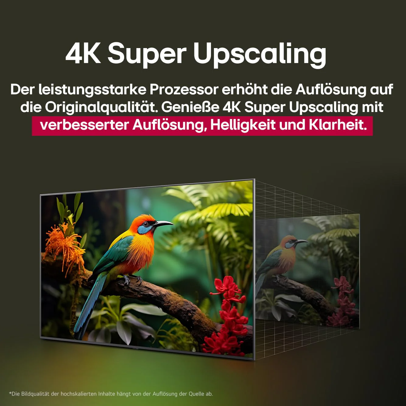 Vorschaubild 8