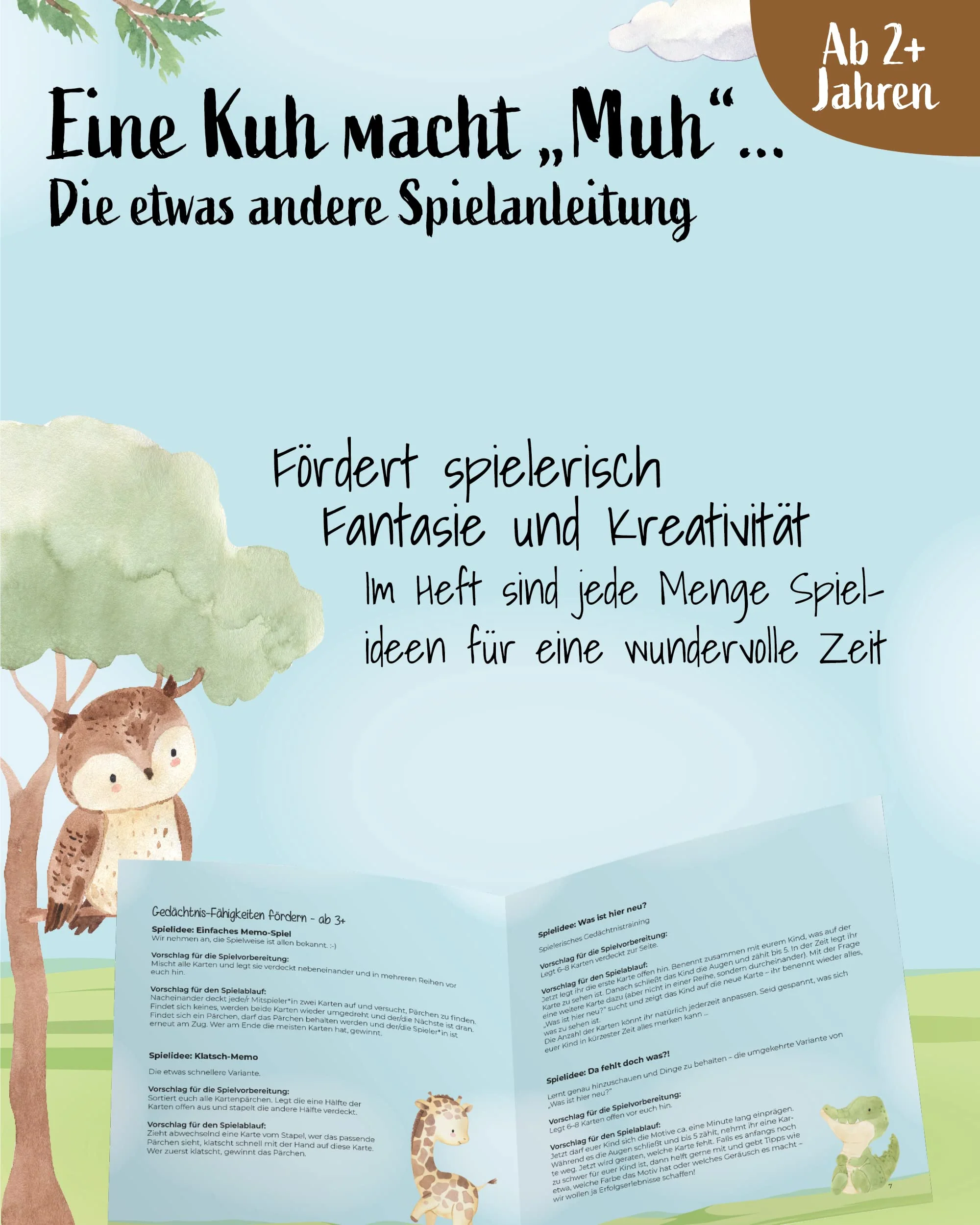 Vorschaubild 5