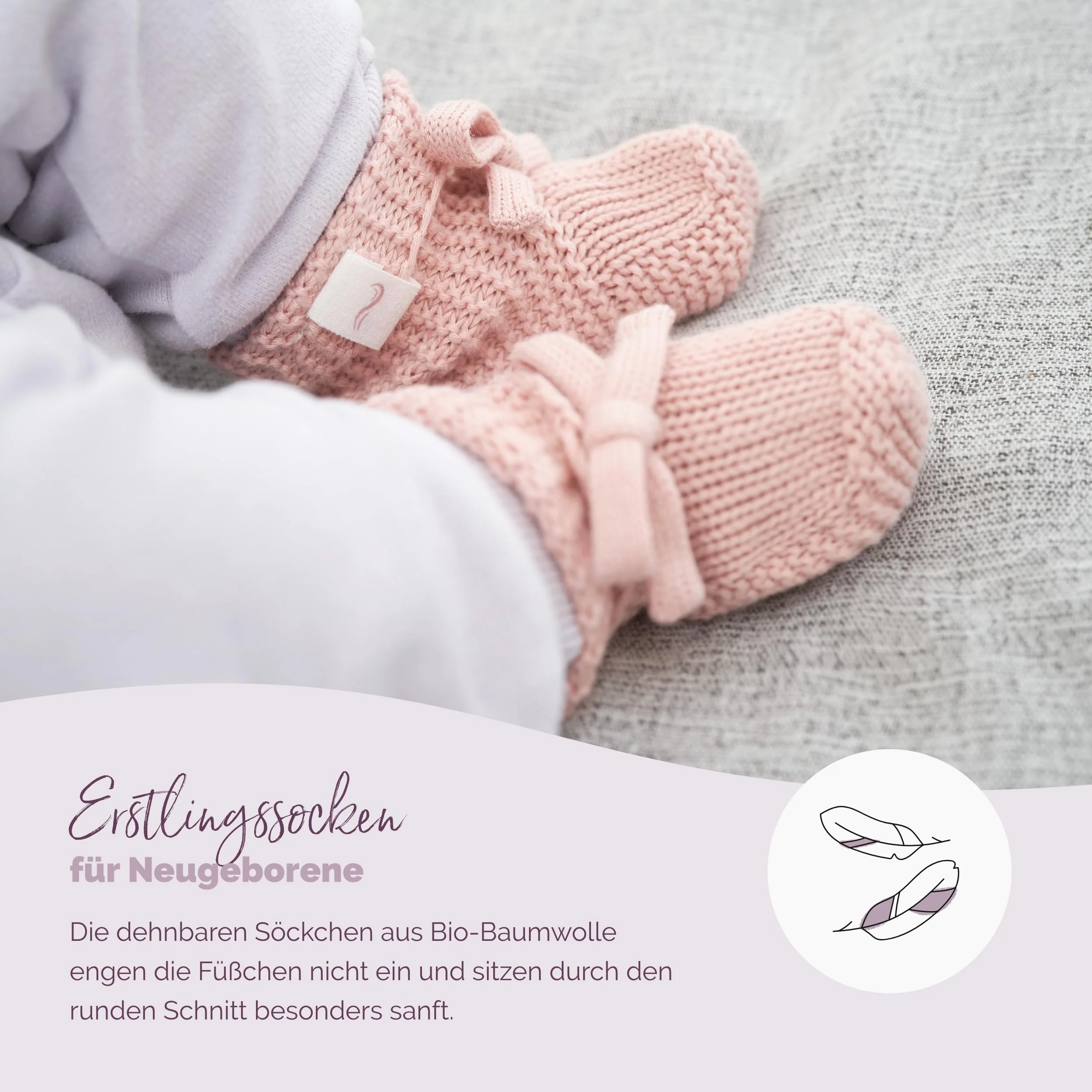 Vorschaubild 5