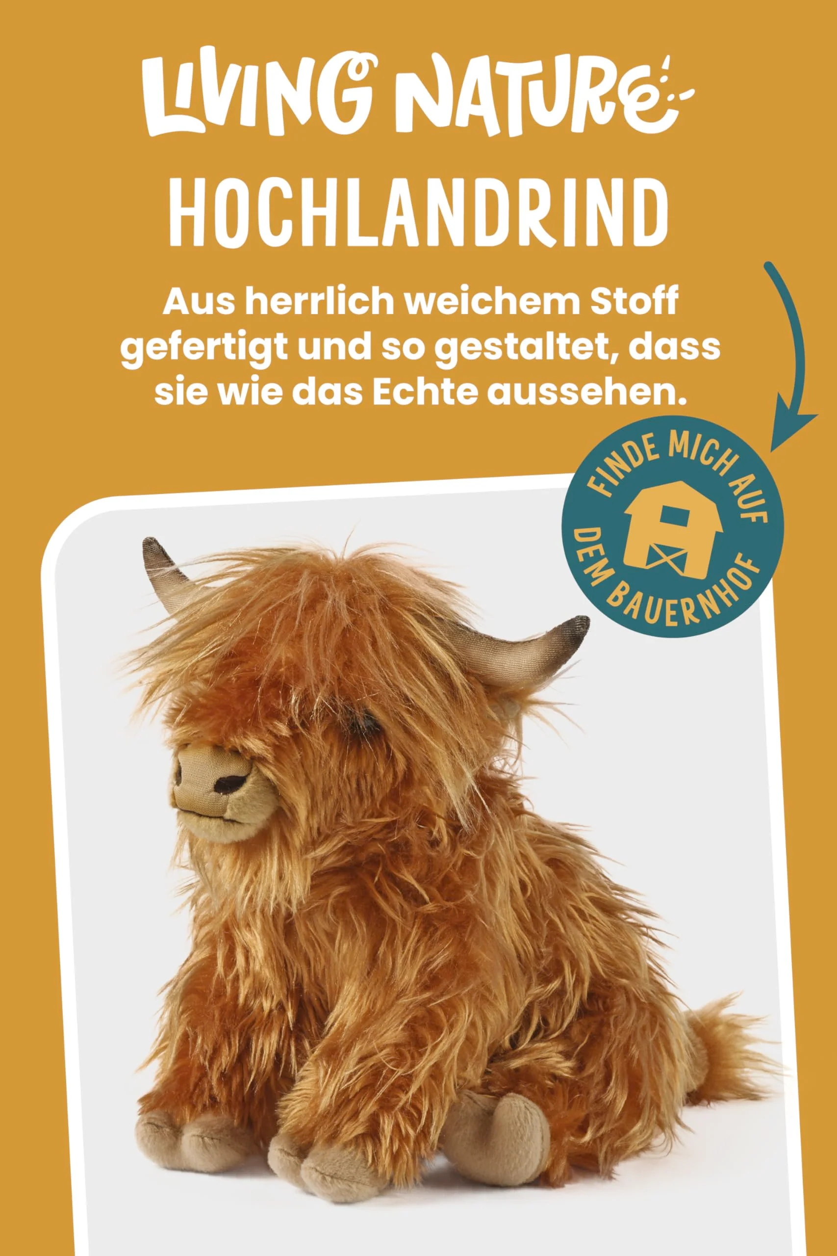Vorschaubild 6