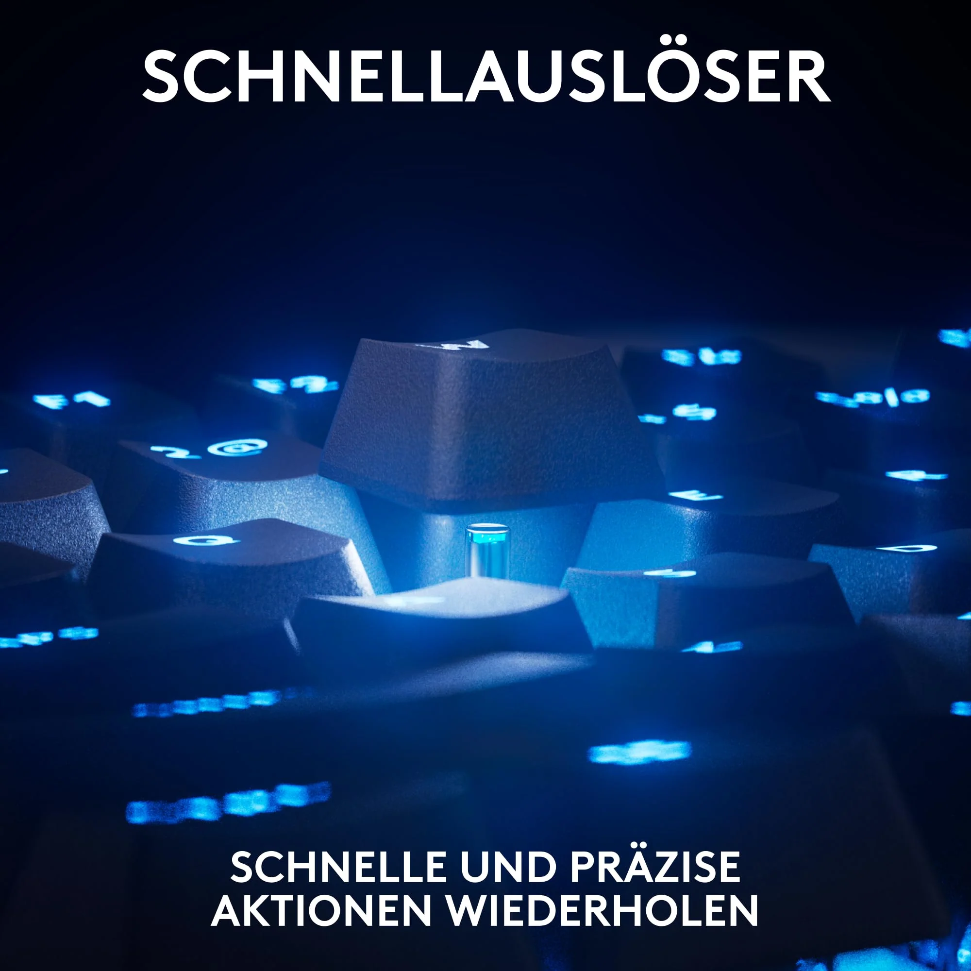 Vorschaubild 7