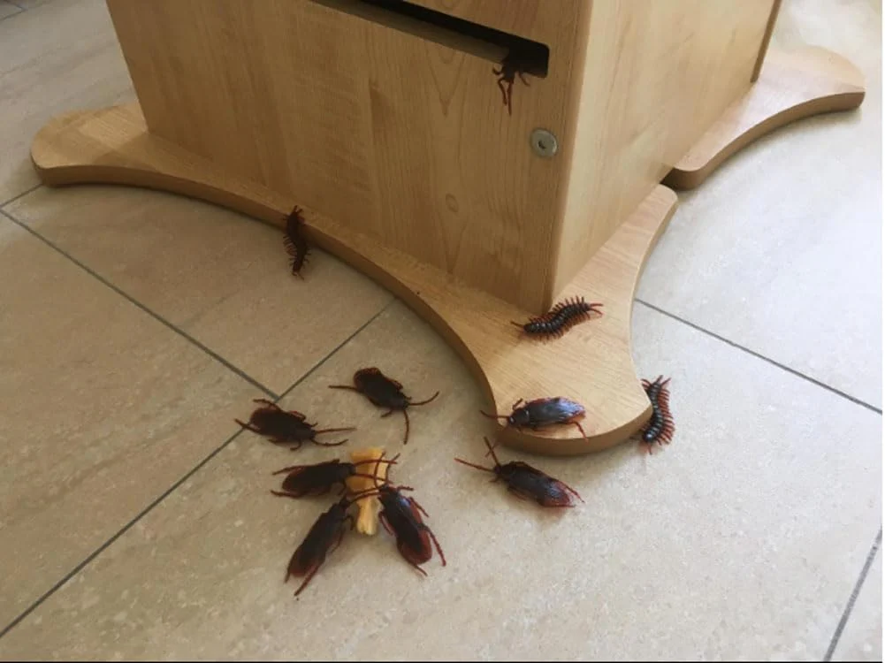 Vorschaubild 4