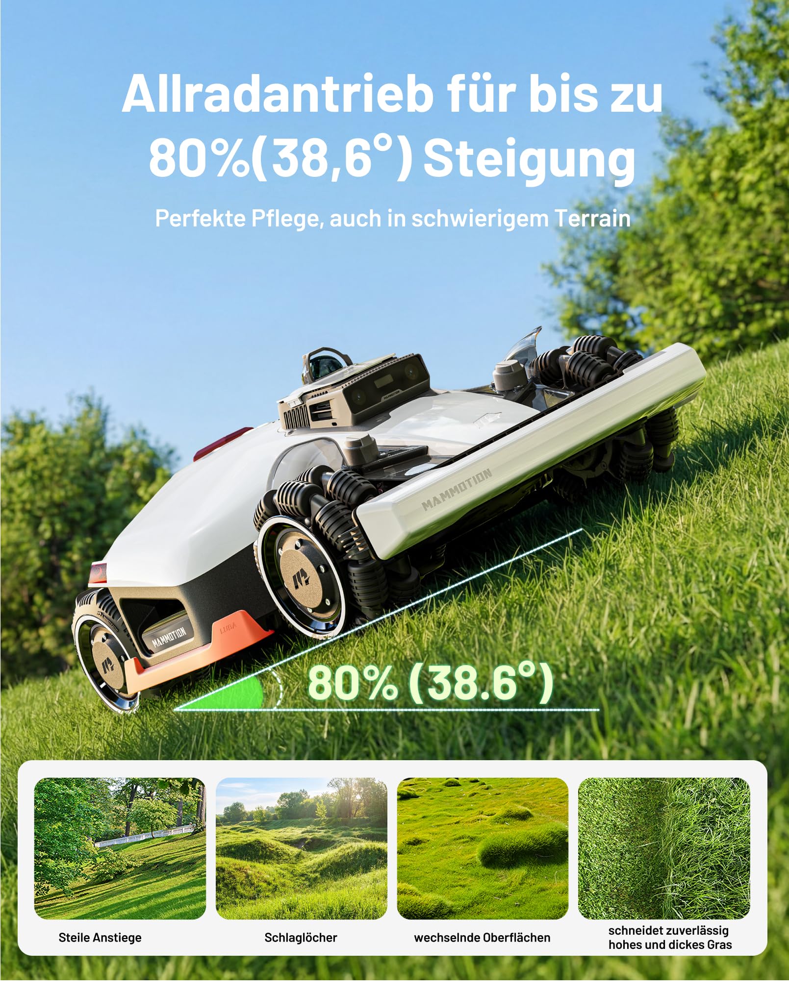 Vorschaubild 6