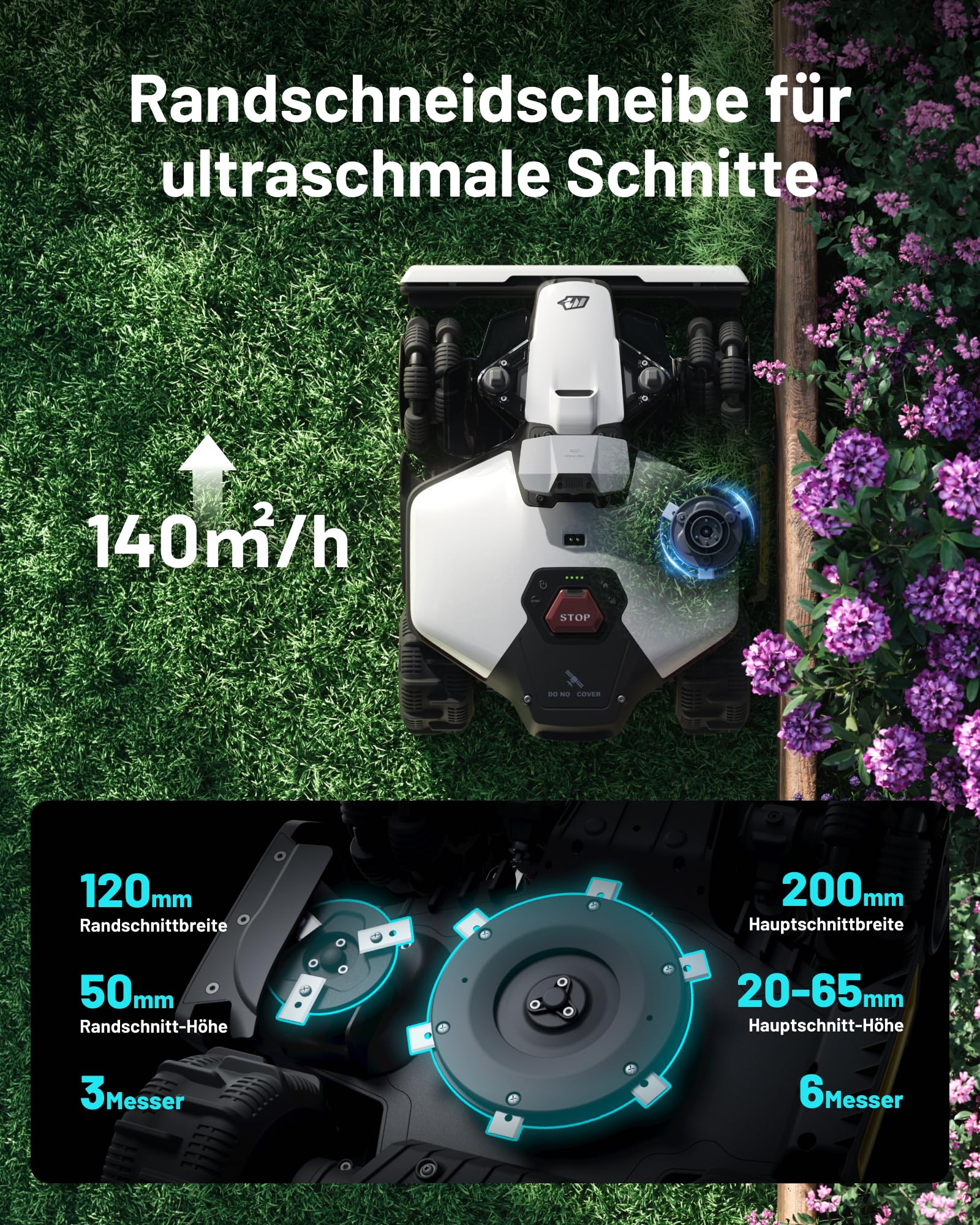 Vorschaubild 5