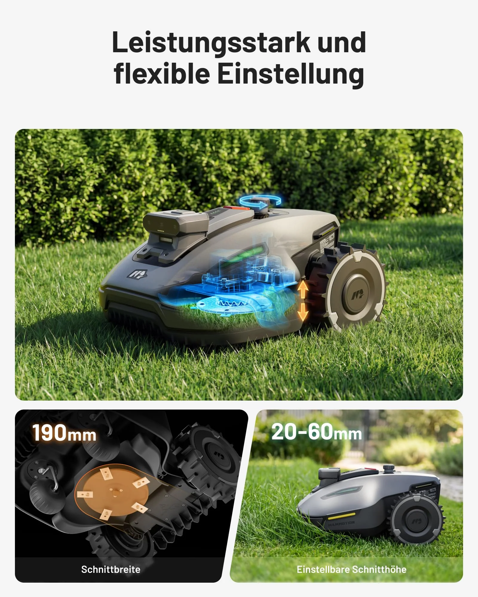 Vorschaubild 8