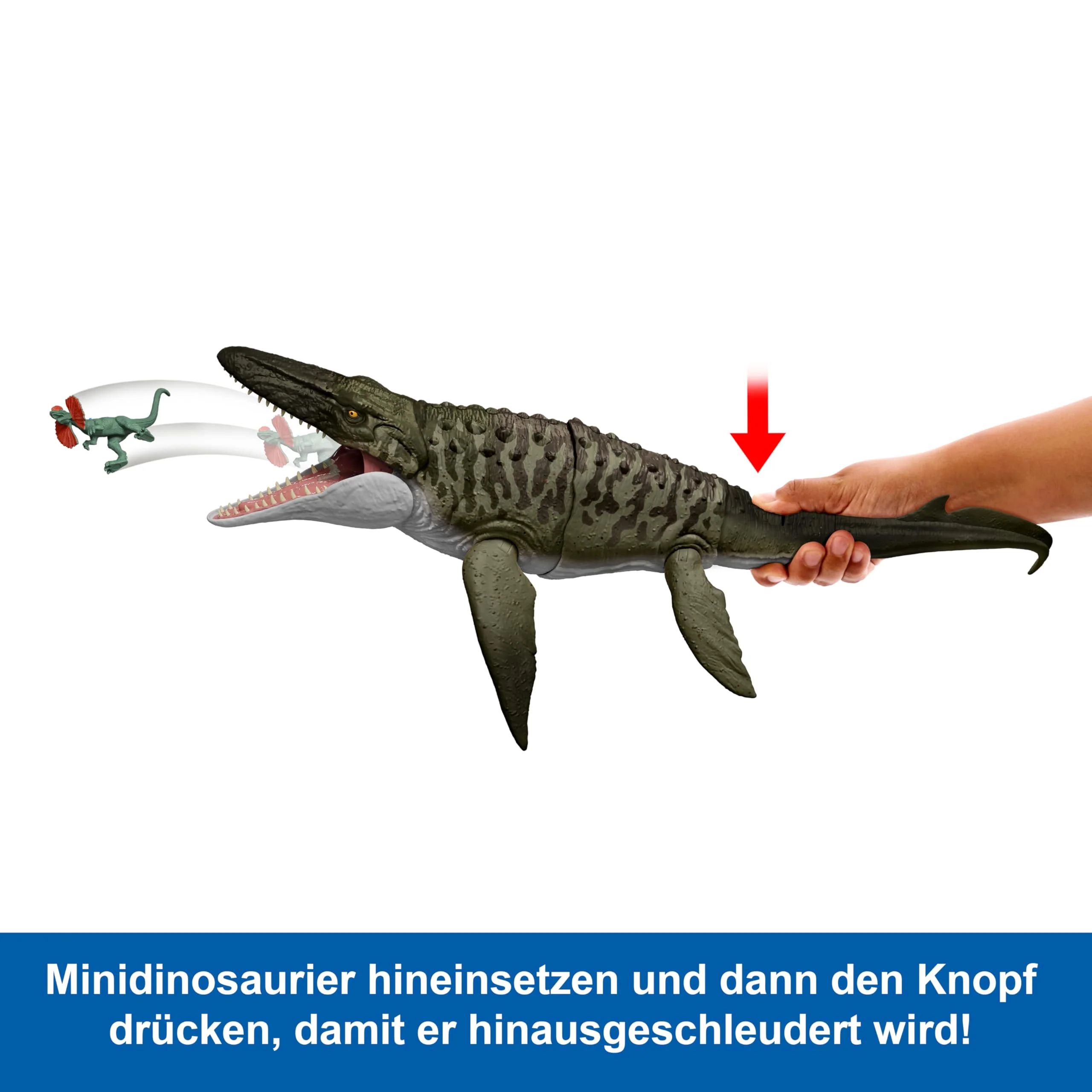 Vorschaubild 3