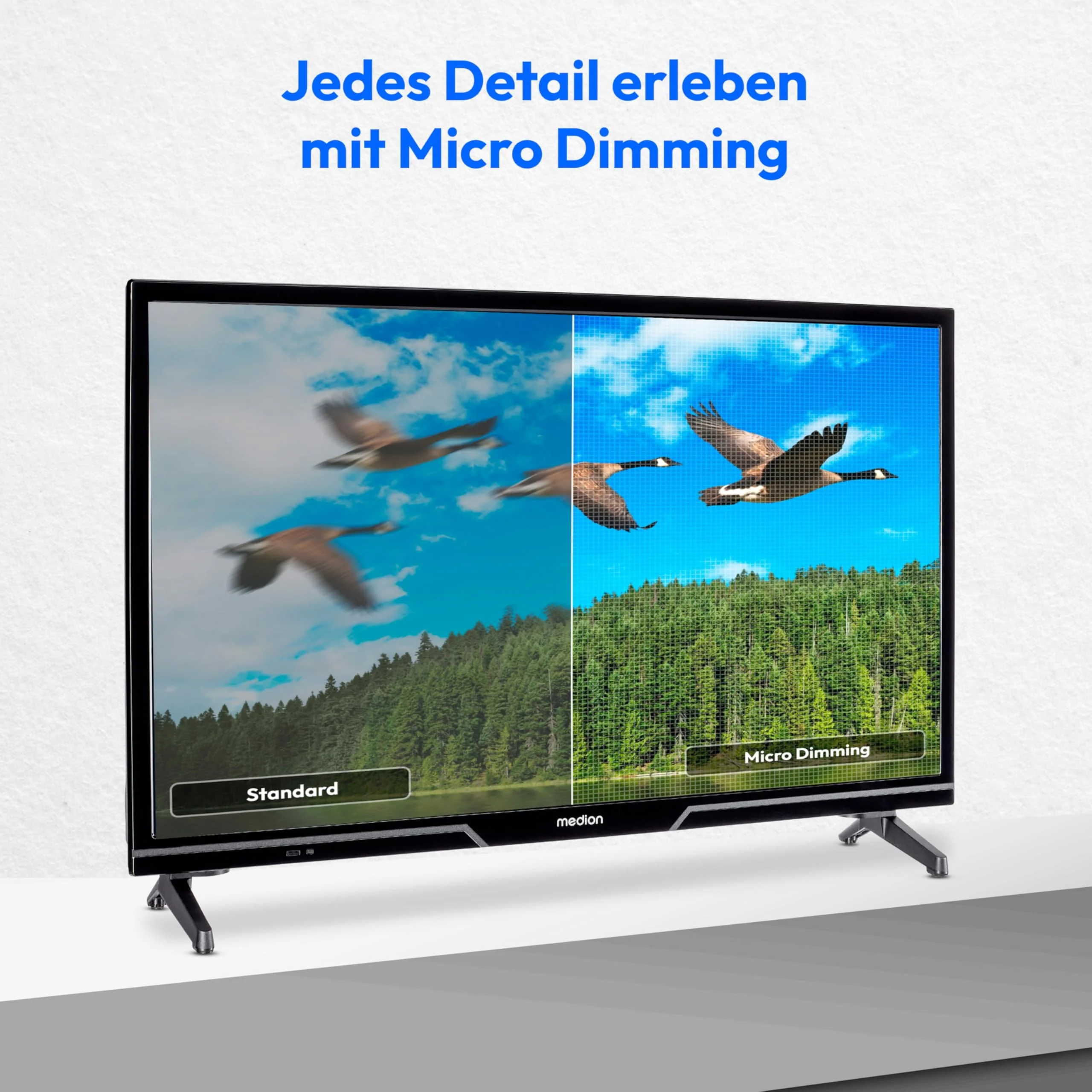 Vorschaubild 5