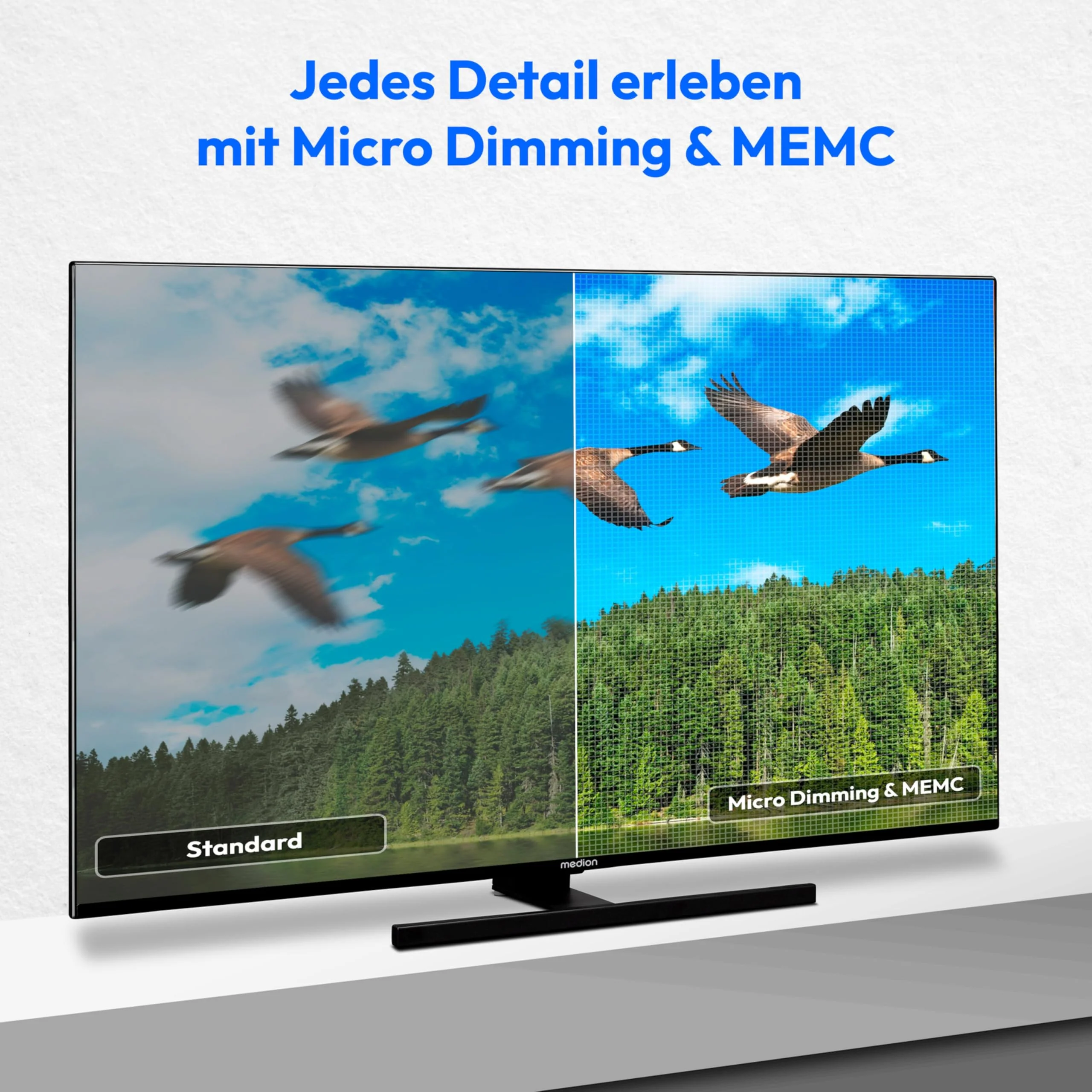 Vorschaubild 8
