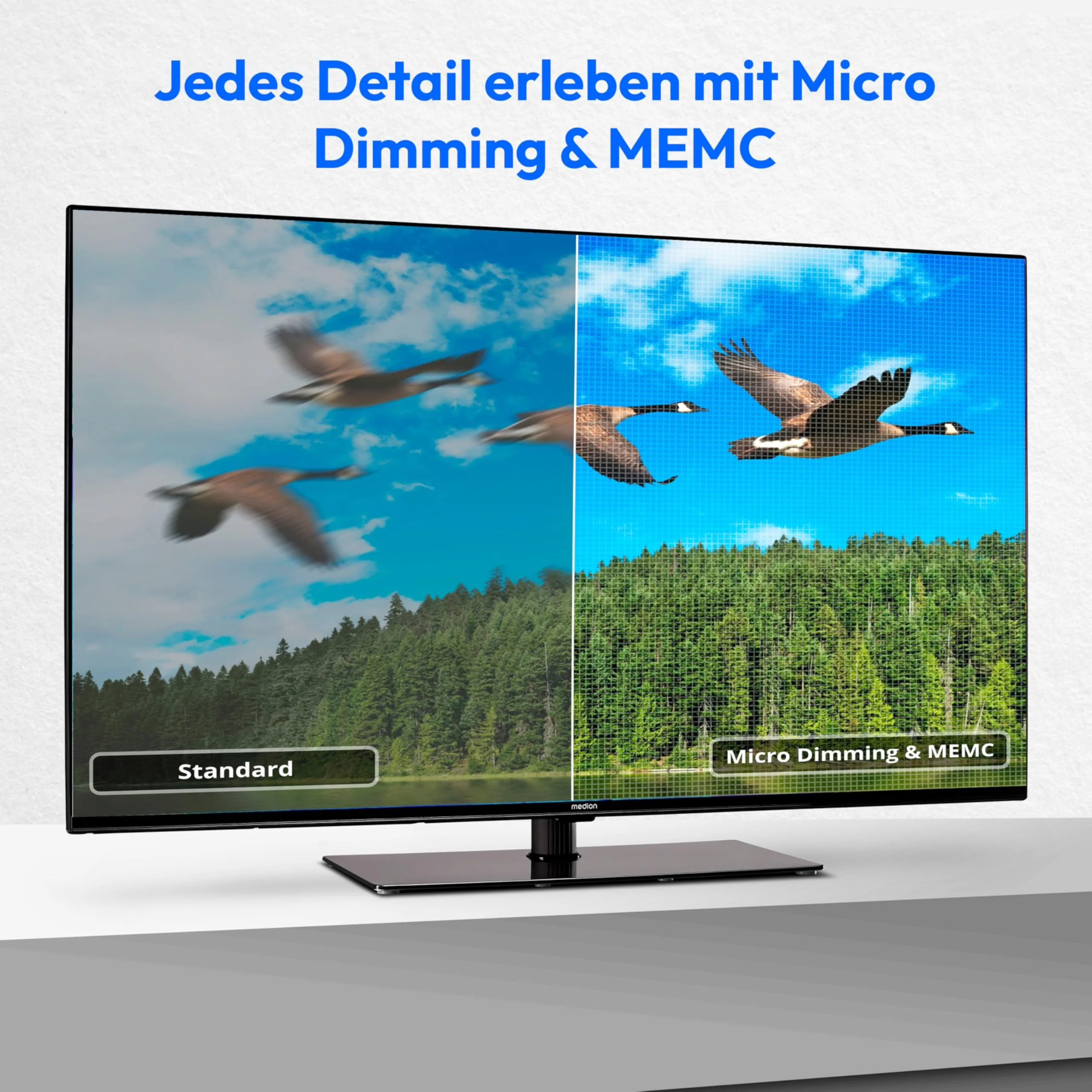 Vorschaubild 5