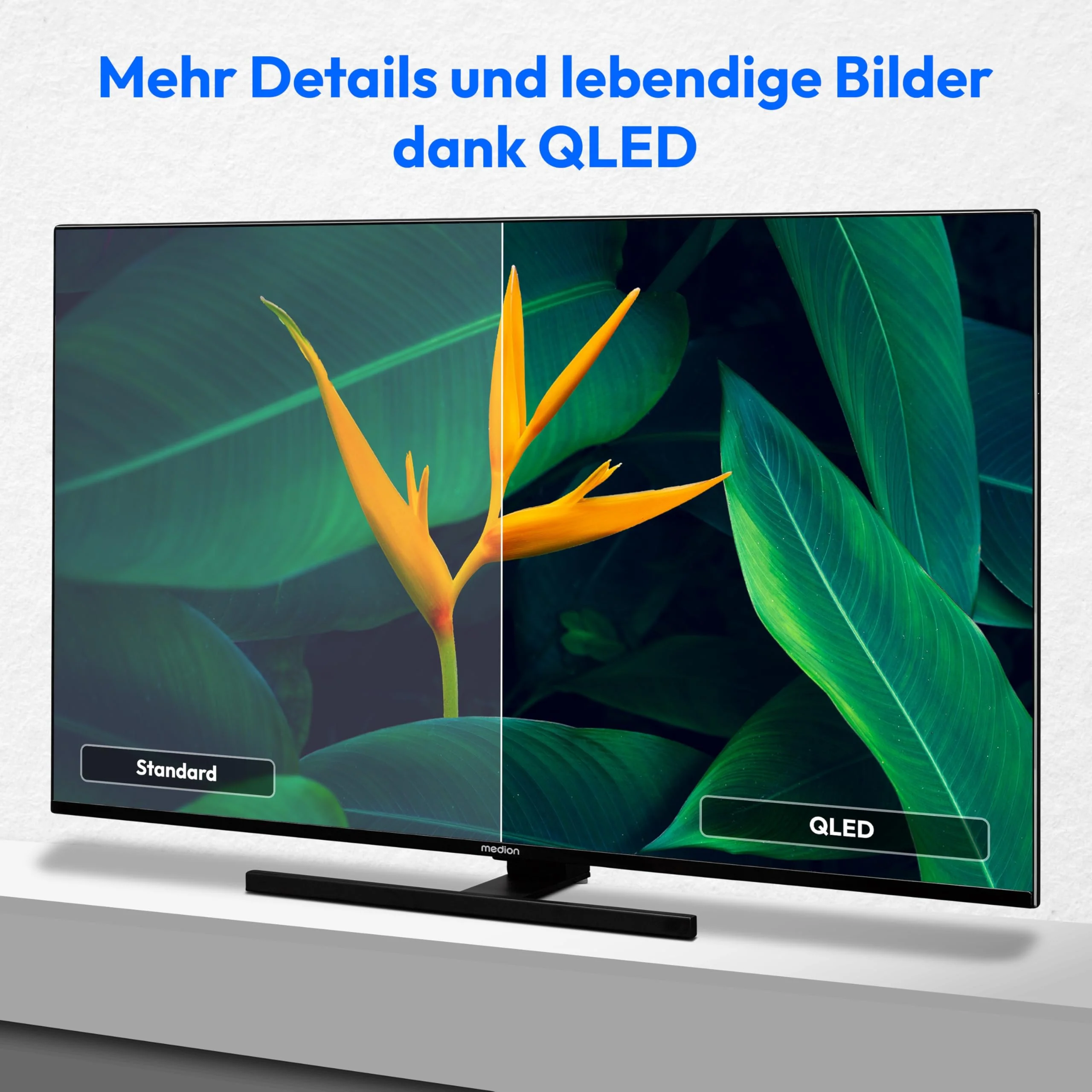 Vorschaubild 5