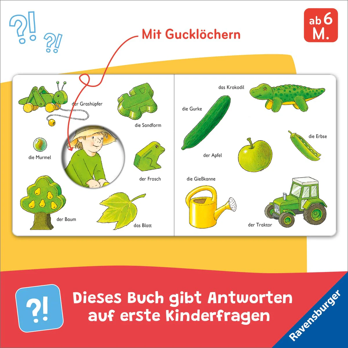 Vorschaubild 5