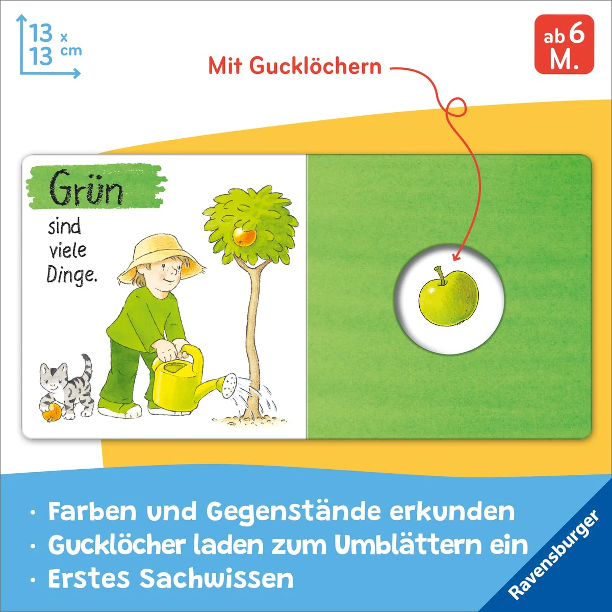 Vorschaubild 6