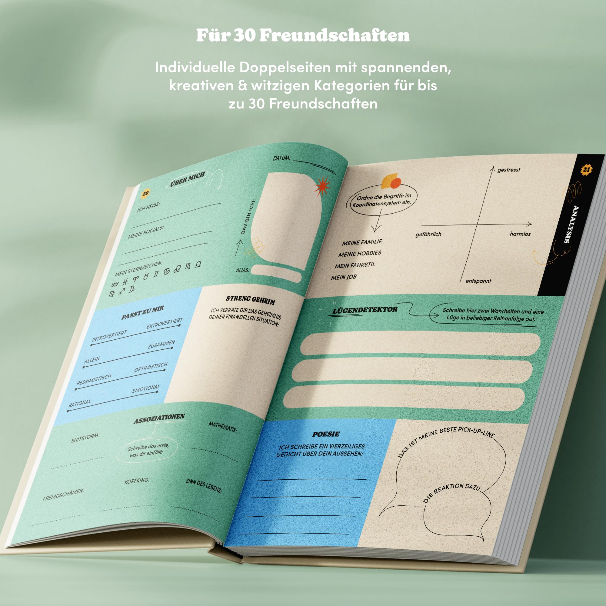Vorschaubild 7