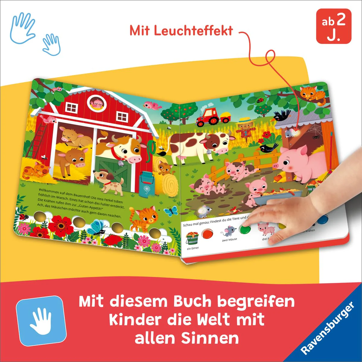 Vorschaubild 5