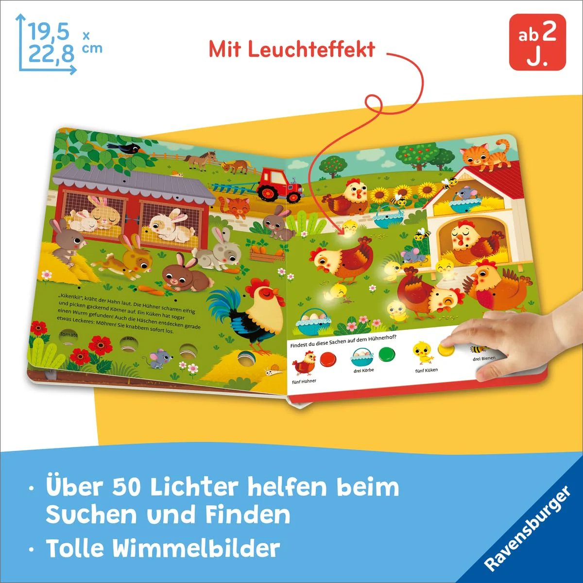 Vorschaubild 6