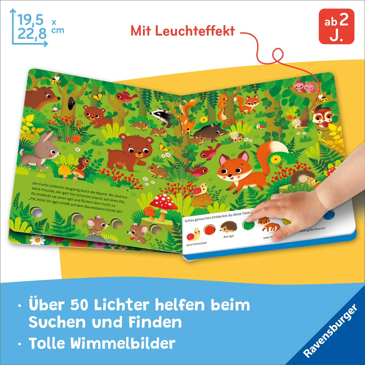 Vorschaubild 6