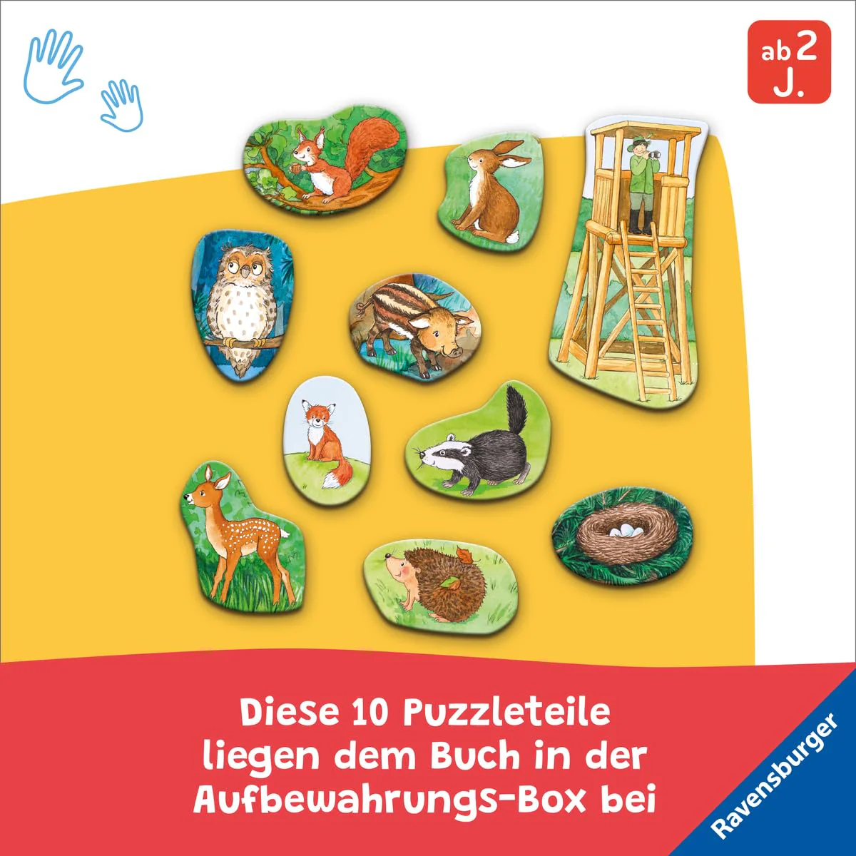 Vorschaubild 5