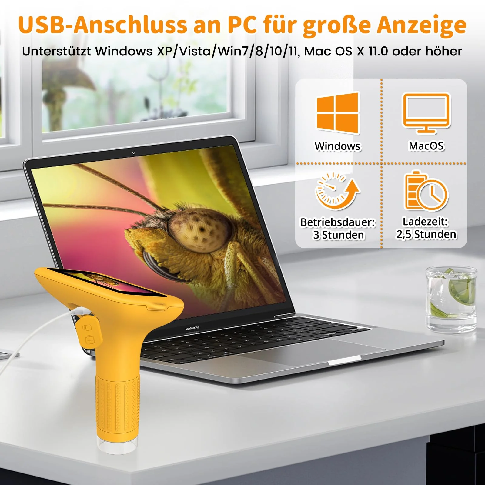Vorschaubild 4