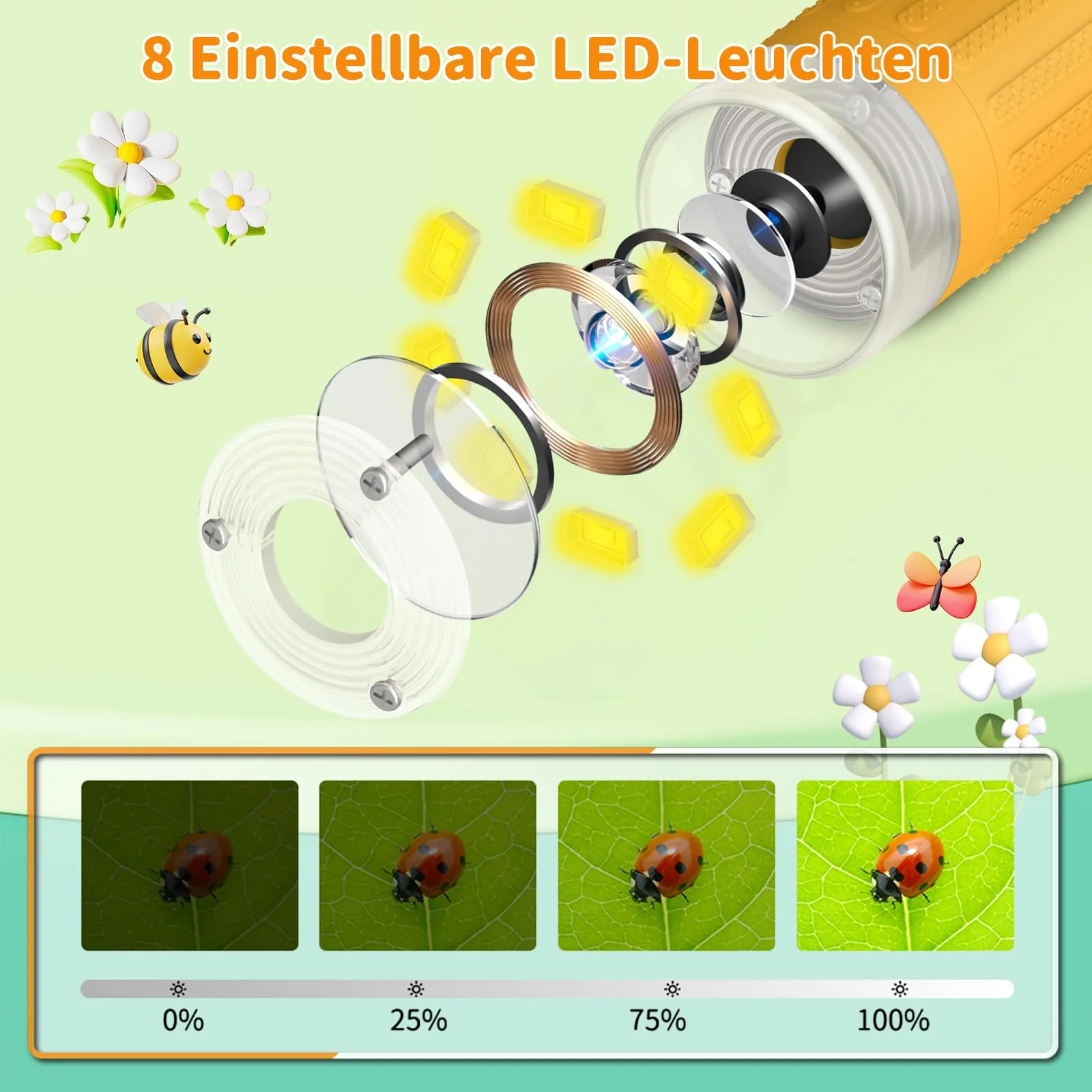 Vorschaubild 6