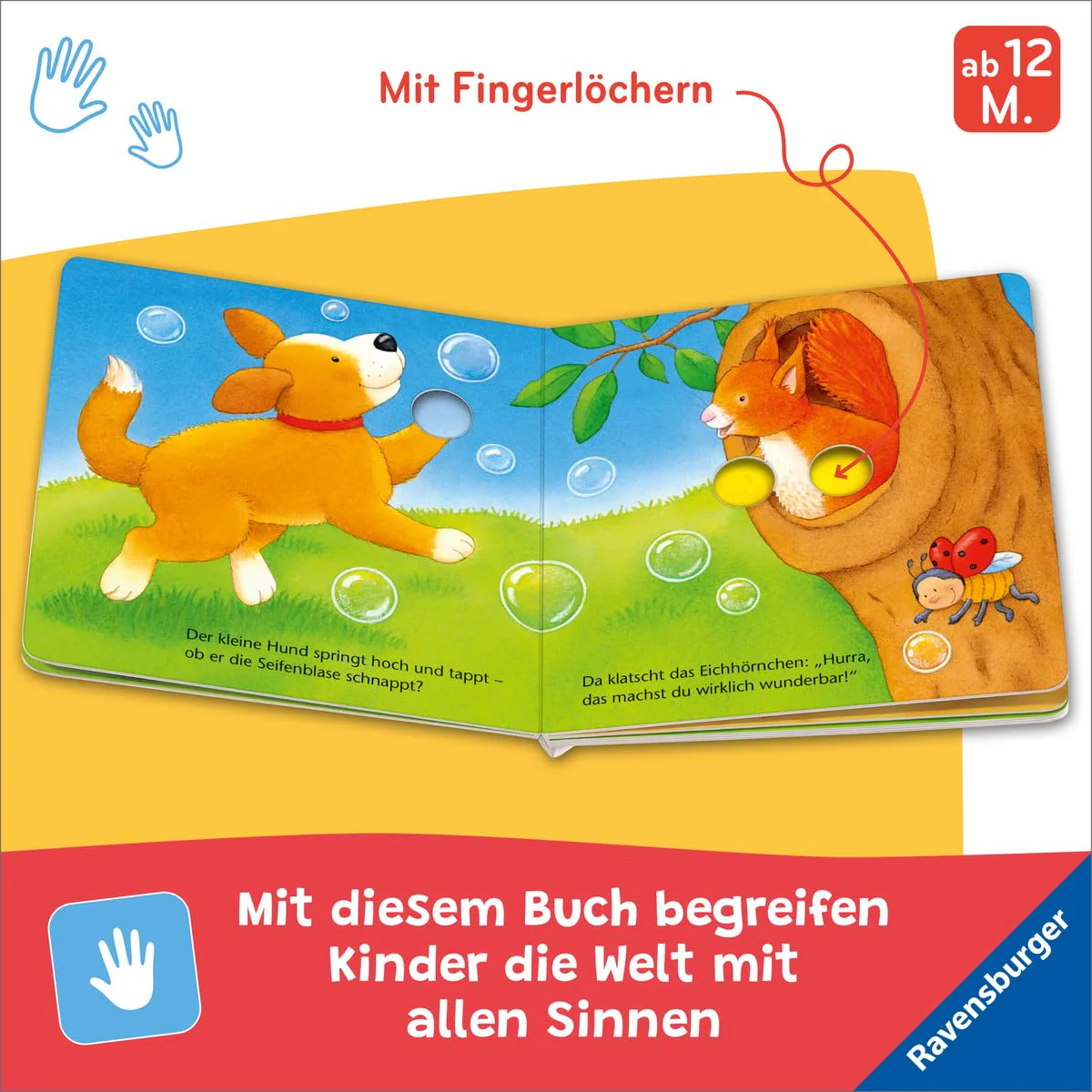 Vorschaubild 5