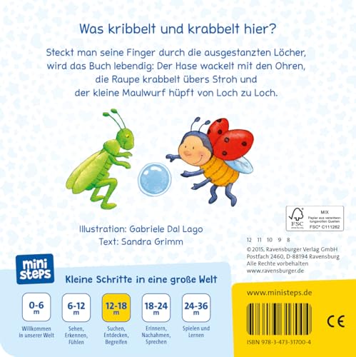 Vorschaubild 7