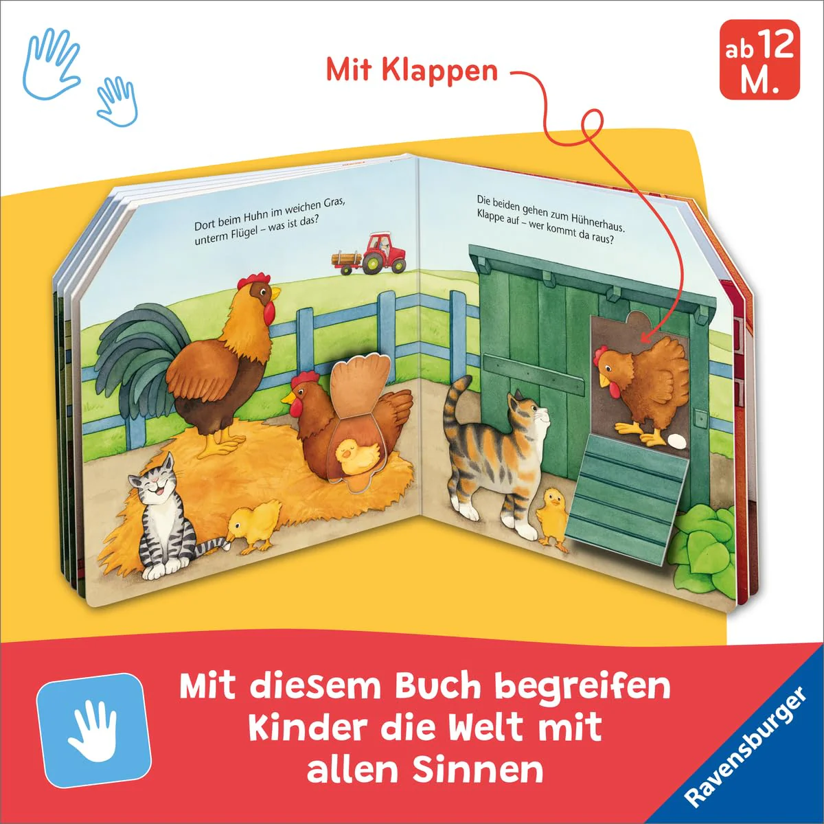 Vorschaubild 5