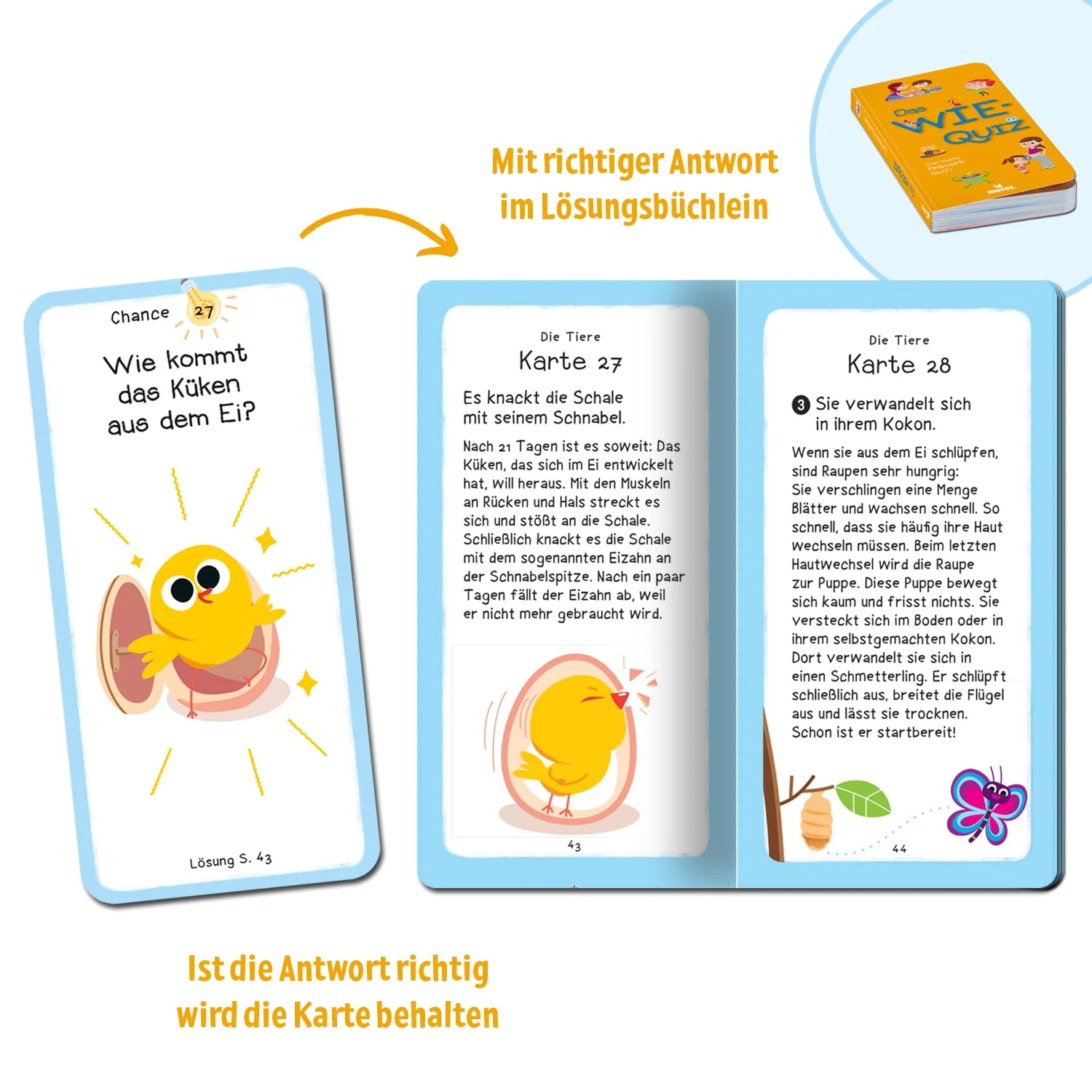 Vorschaubild 3