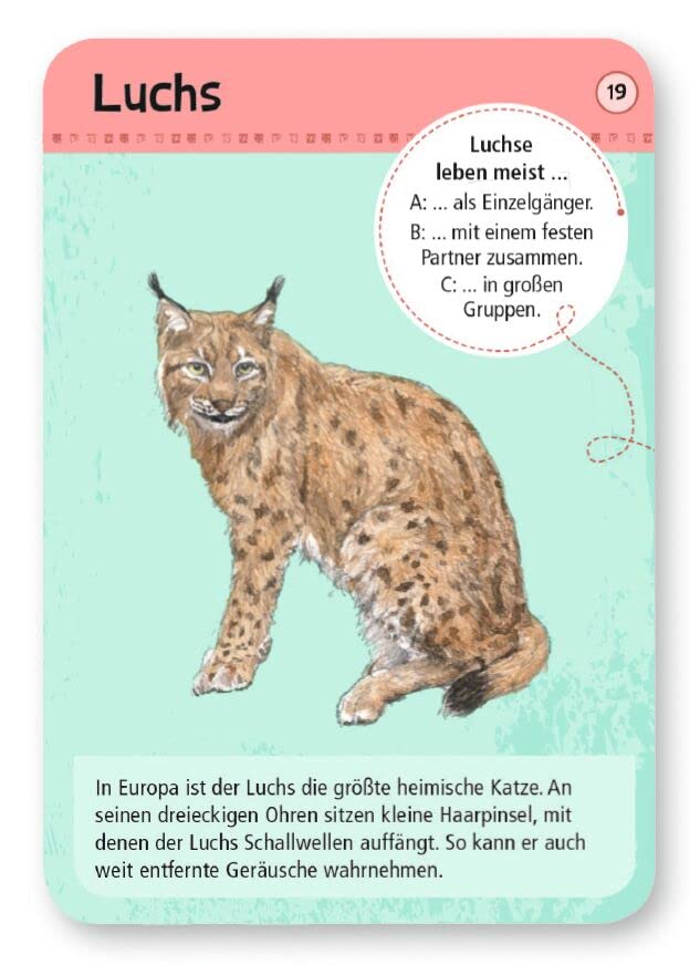 Vorschaubild 7