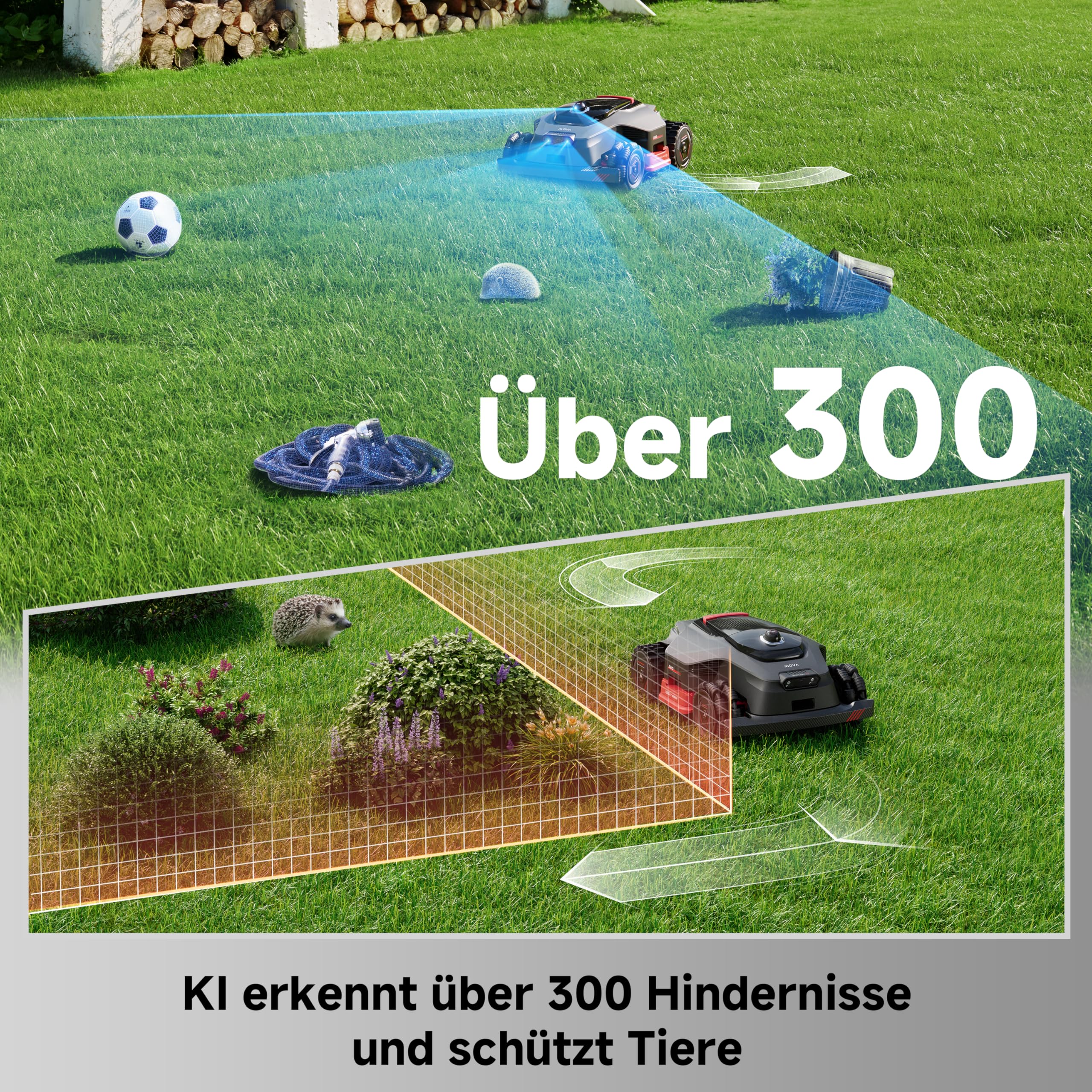 Vorschaubild 6