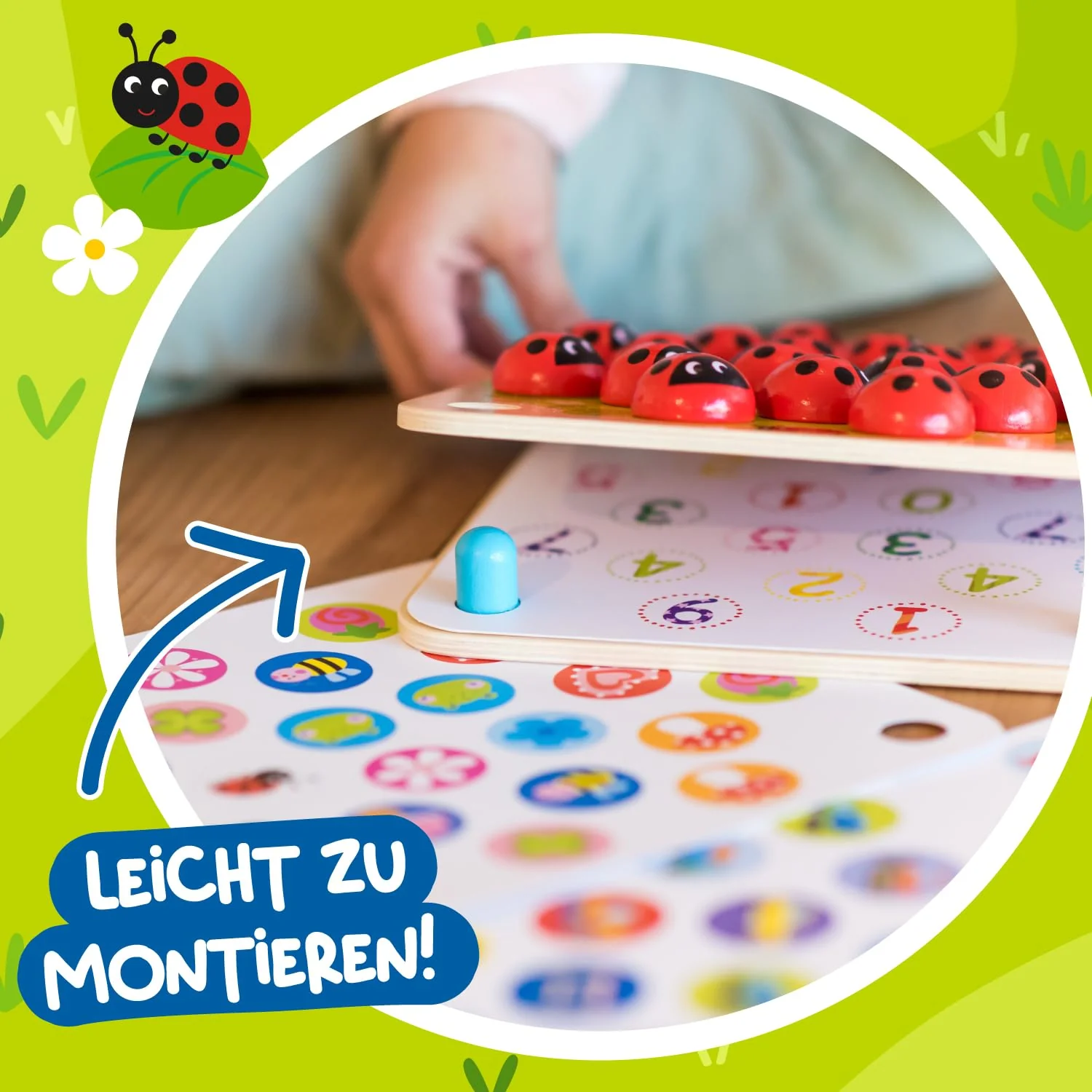 Vorschaubild 3