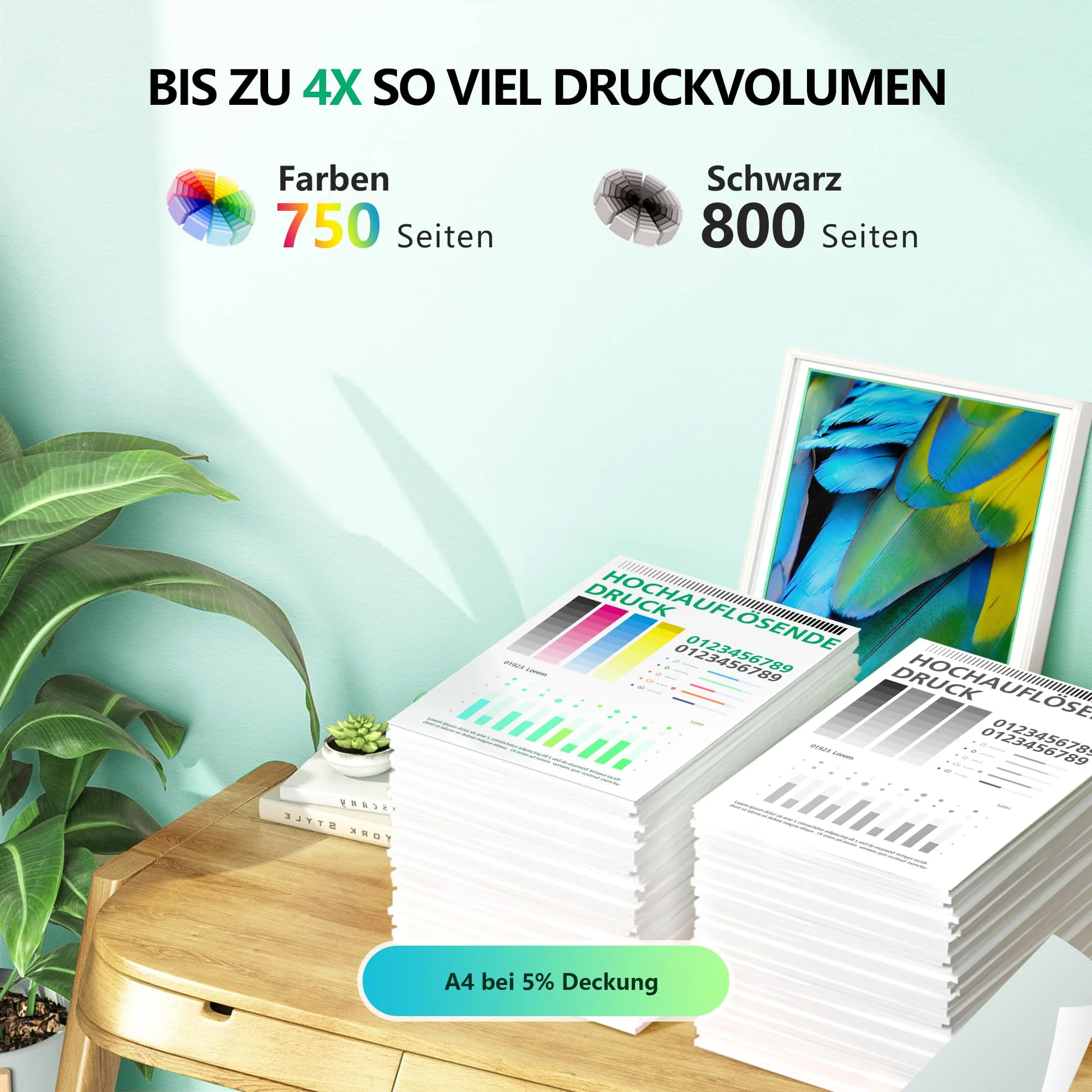 Vorschaubild 7